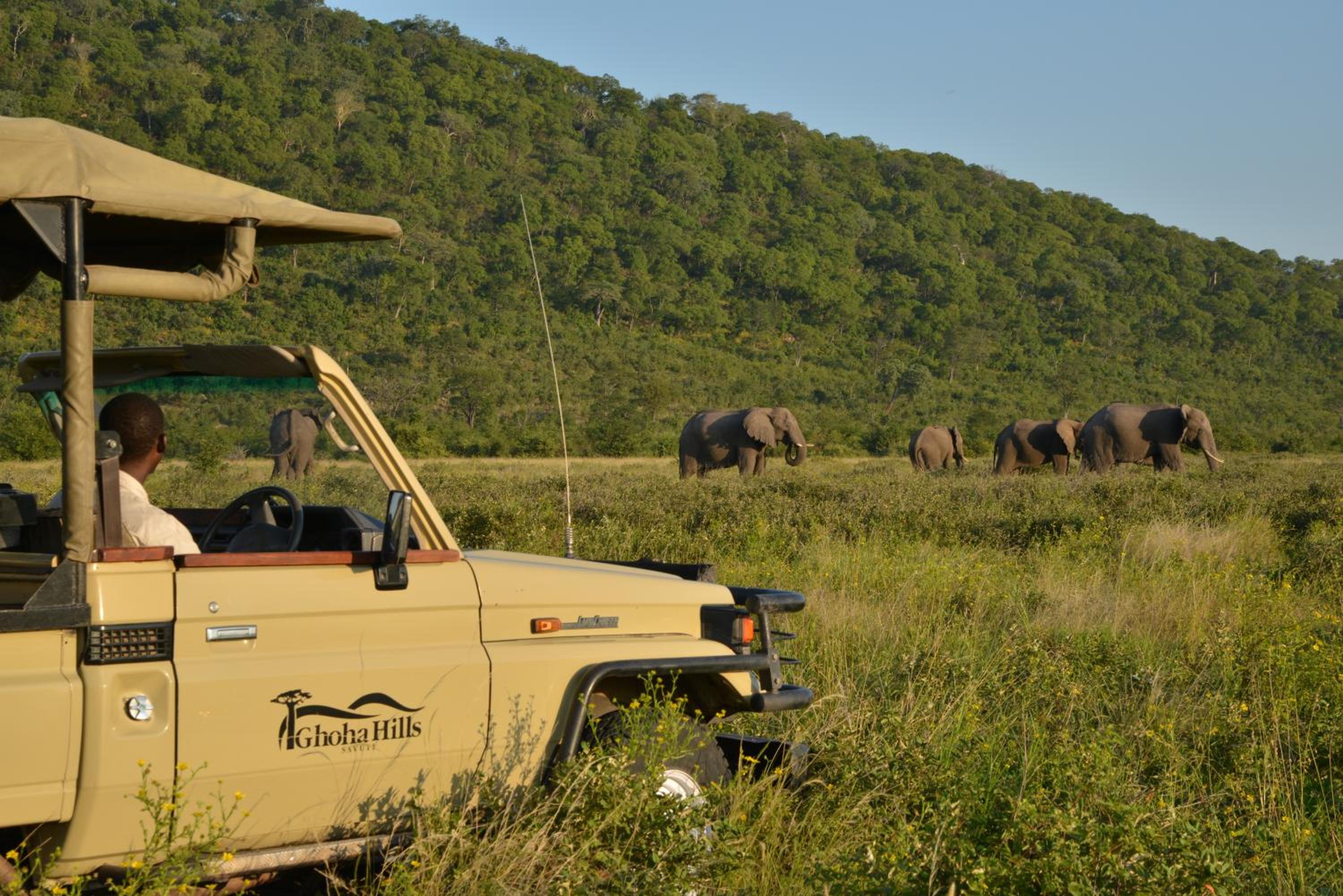 Ghoha Hills Savuti Lodge