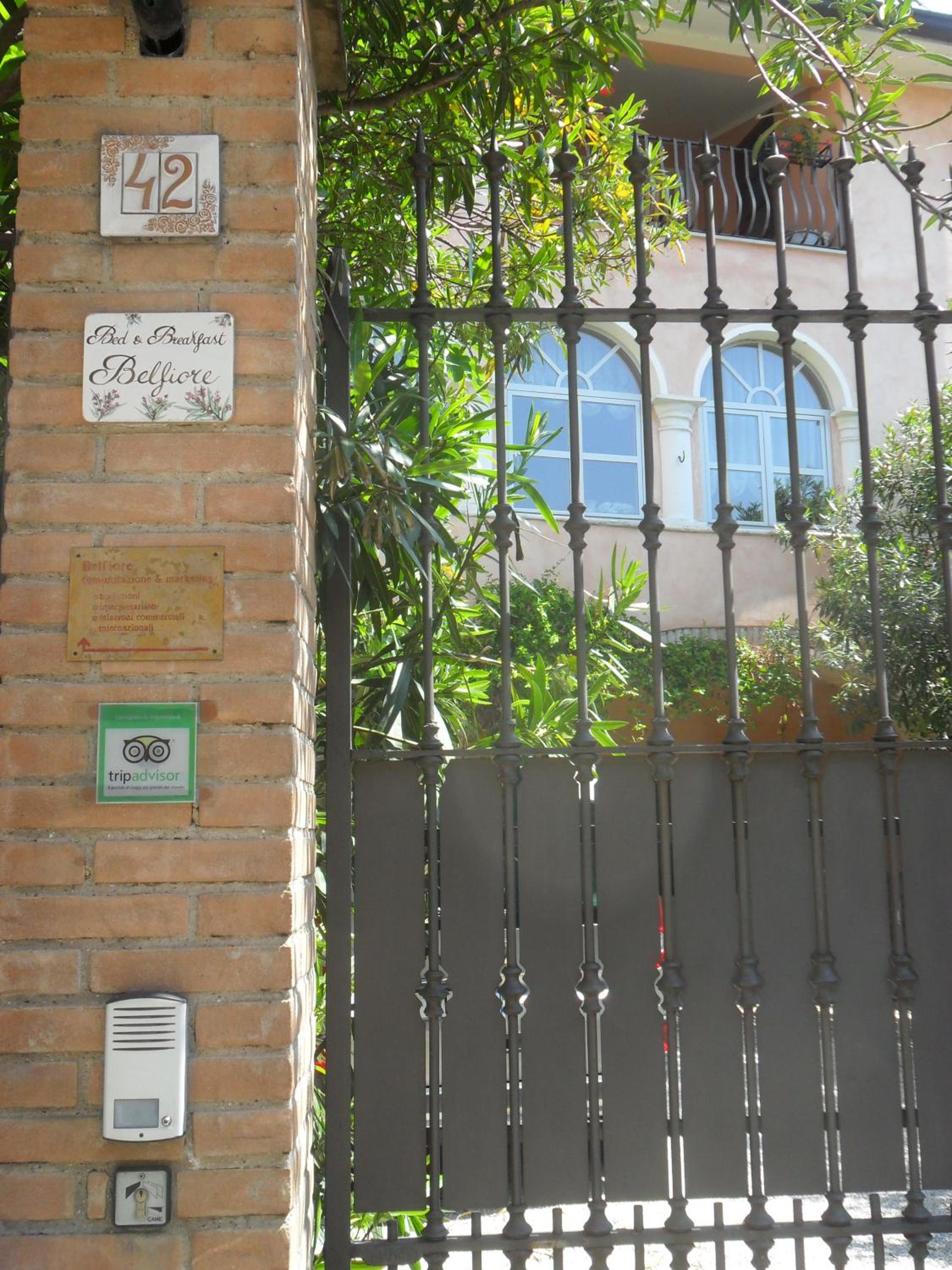 Photo 49