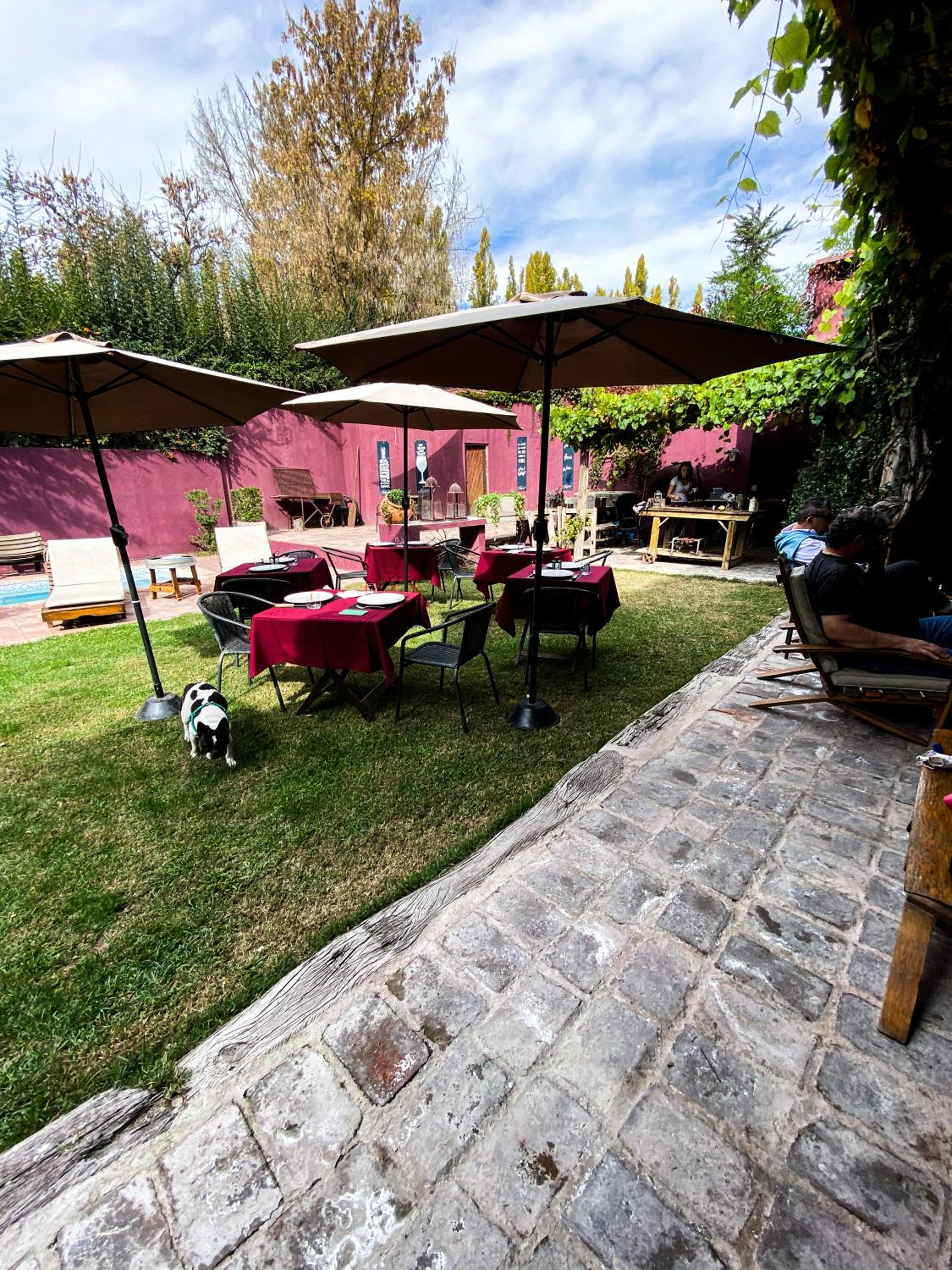 Posada Borravino