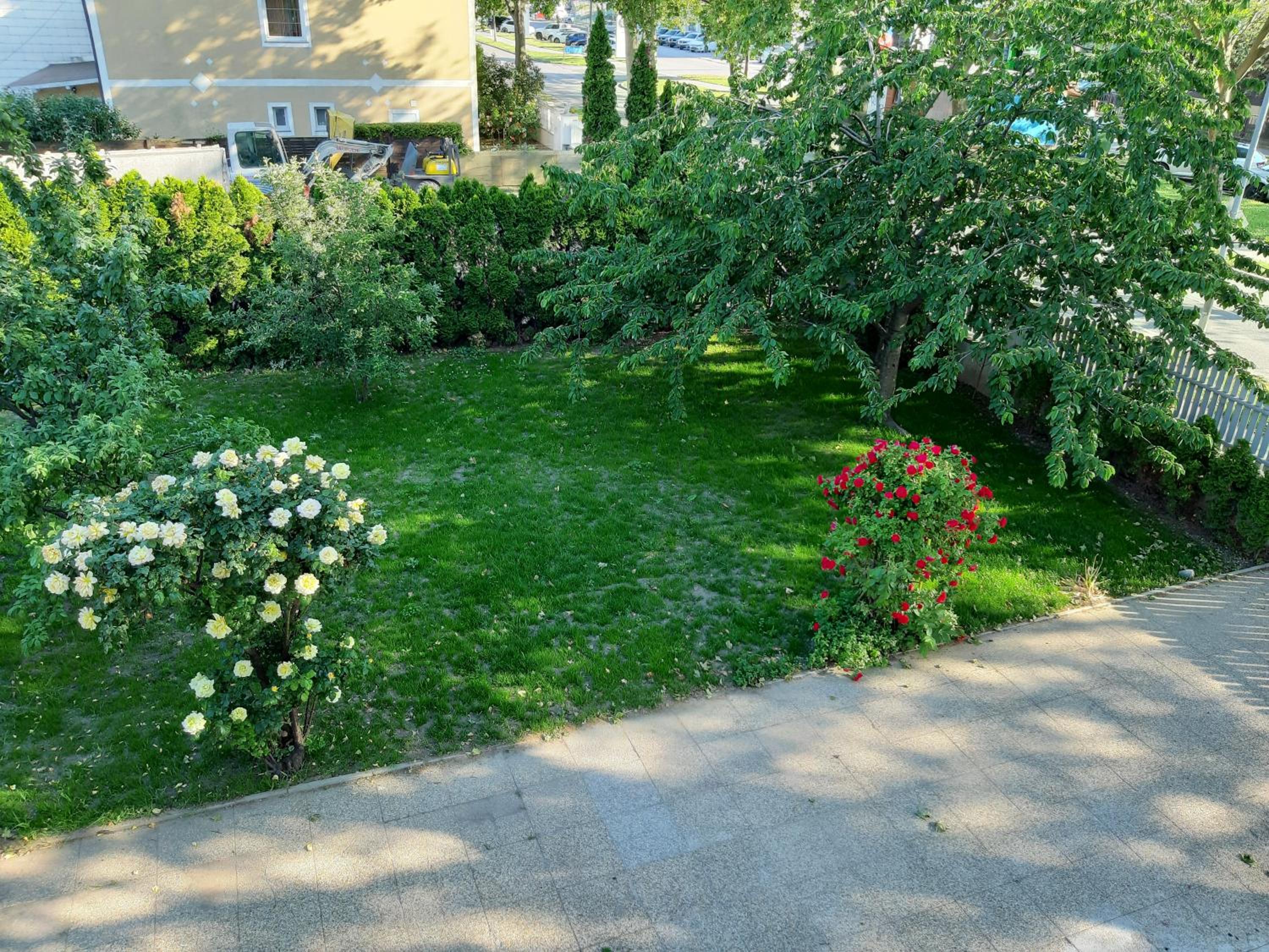 Photo 24