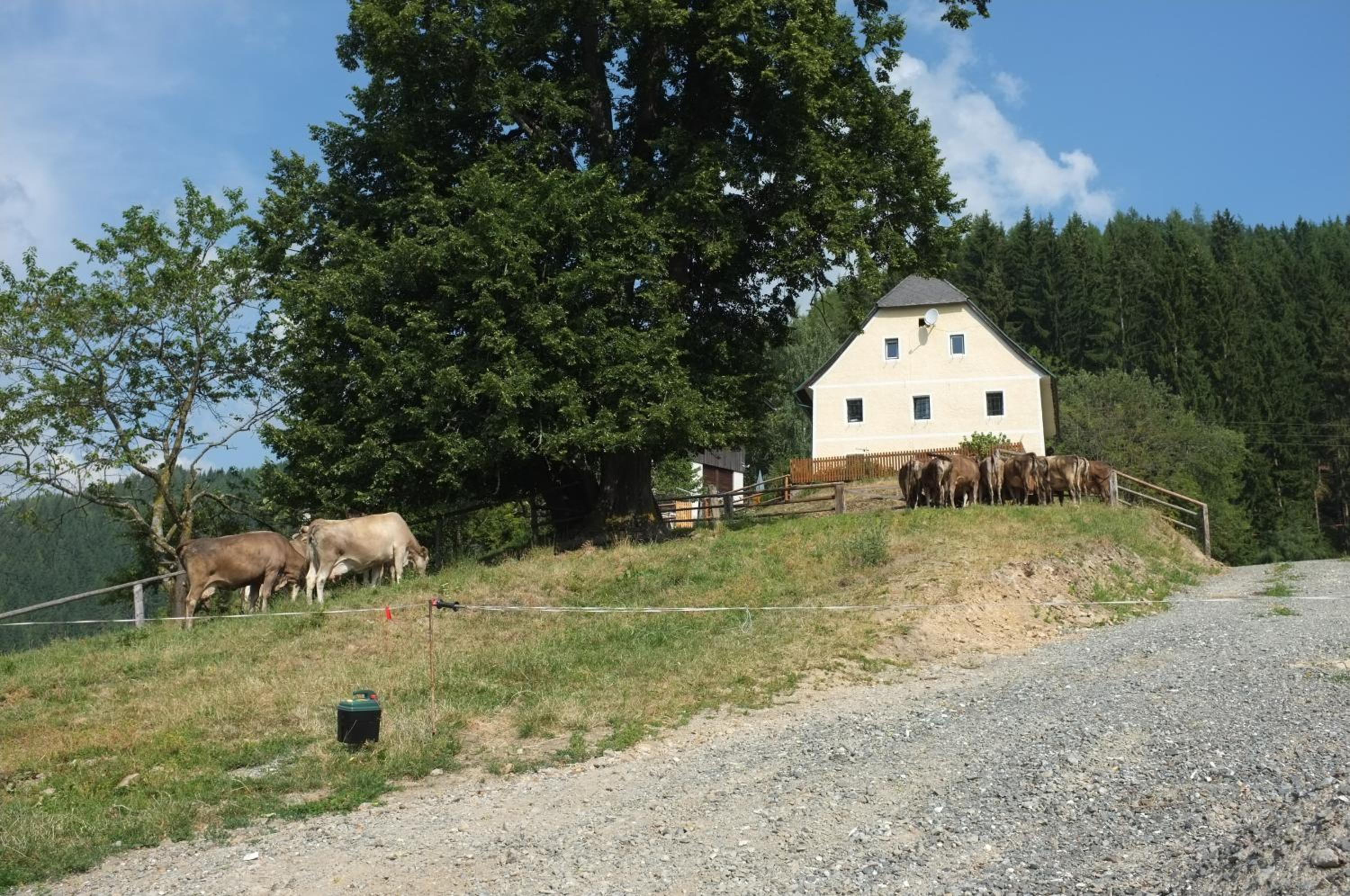 Ferienhaus Hochfelner