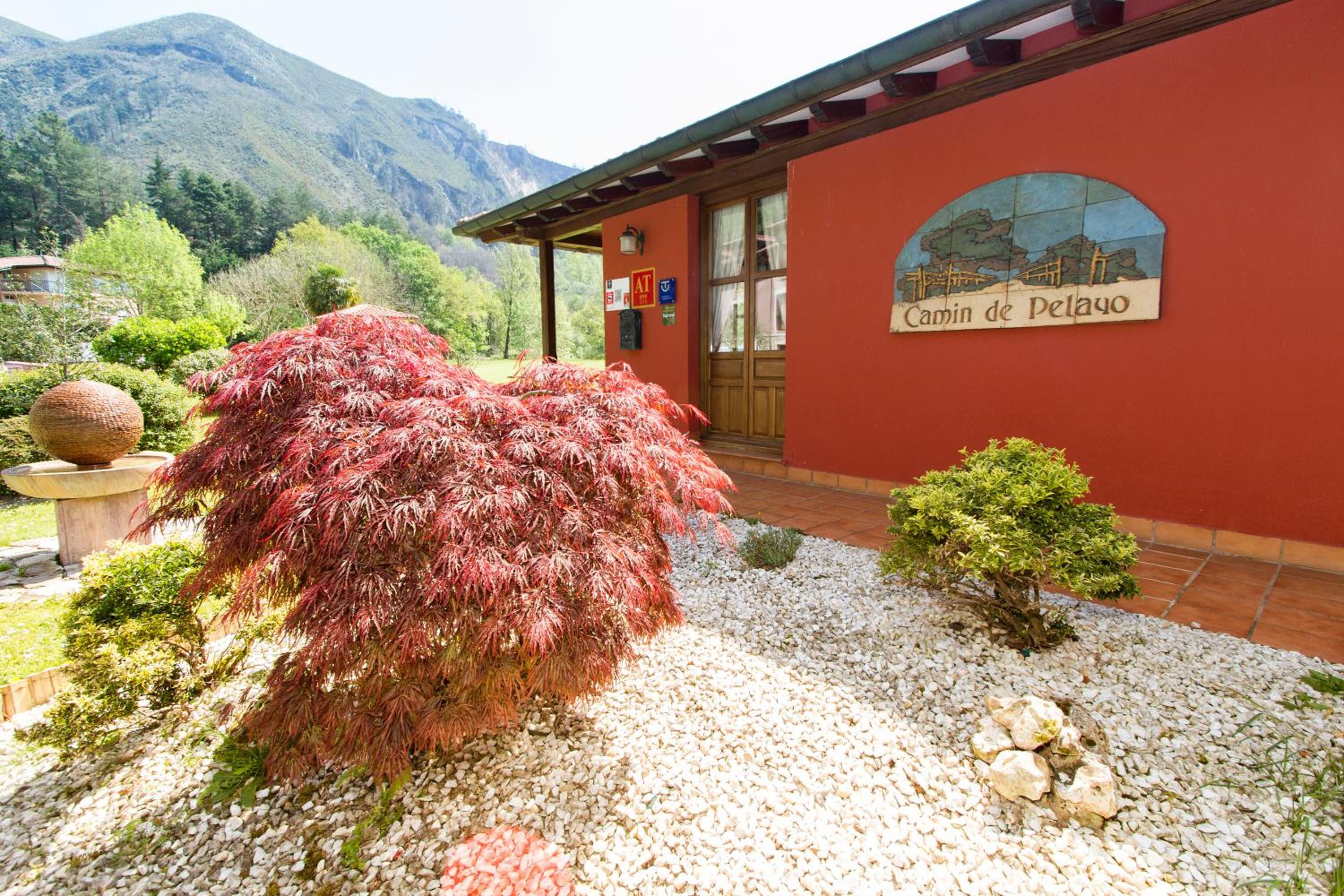 Apartamentos Camin De Pelayo