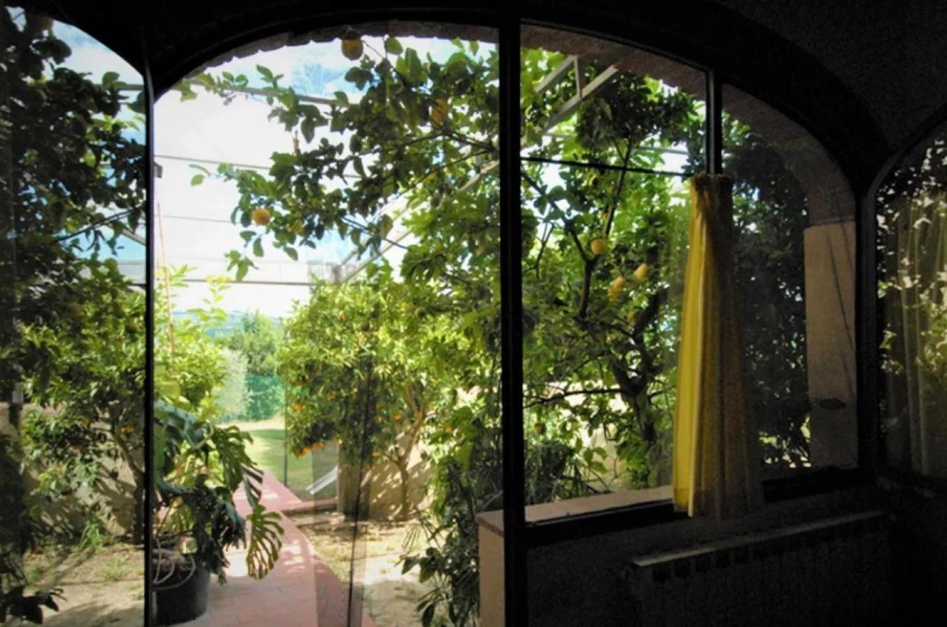 Agriturismo Le Ginestruzze