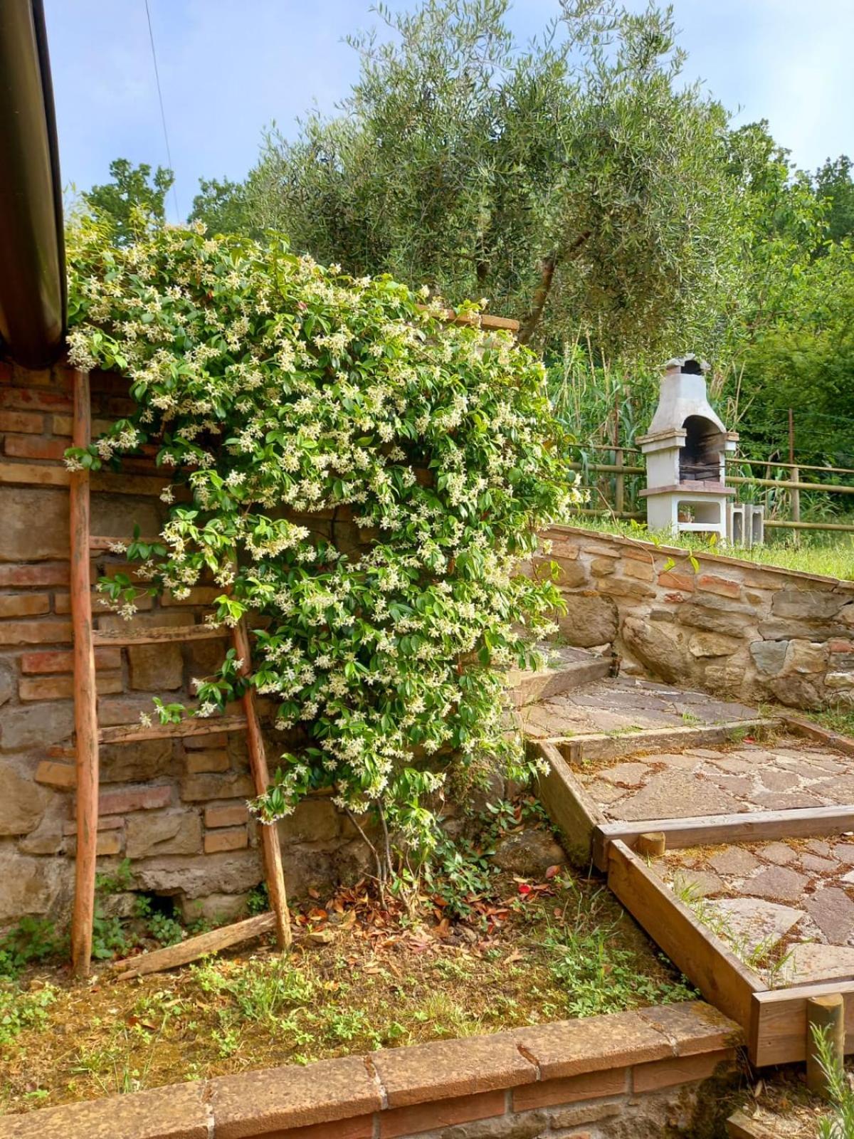 Photo 24