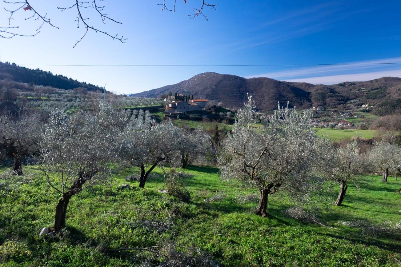 Agriturismo Il Ponticello view 3