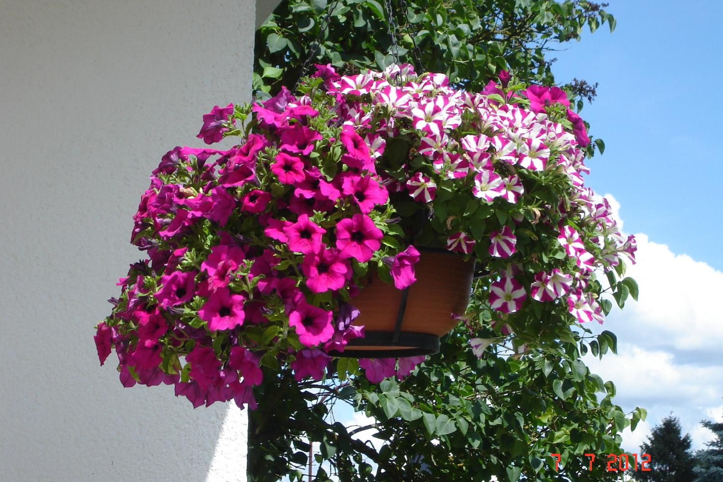 Urlaub auf dem Bauernhof Marx