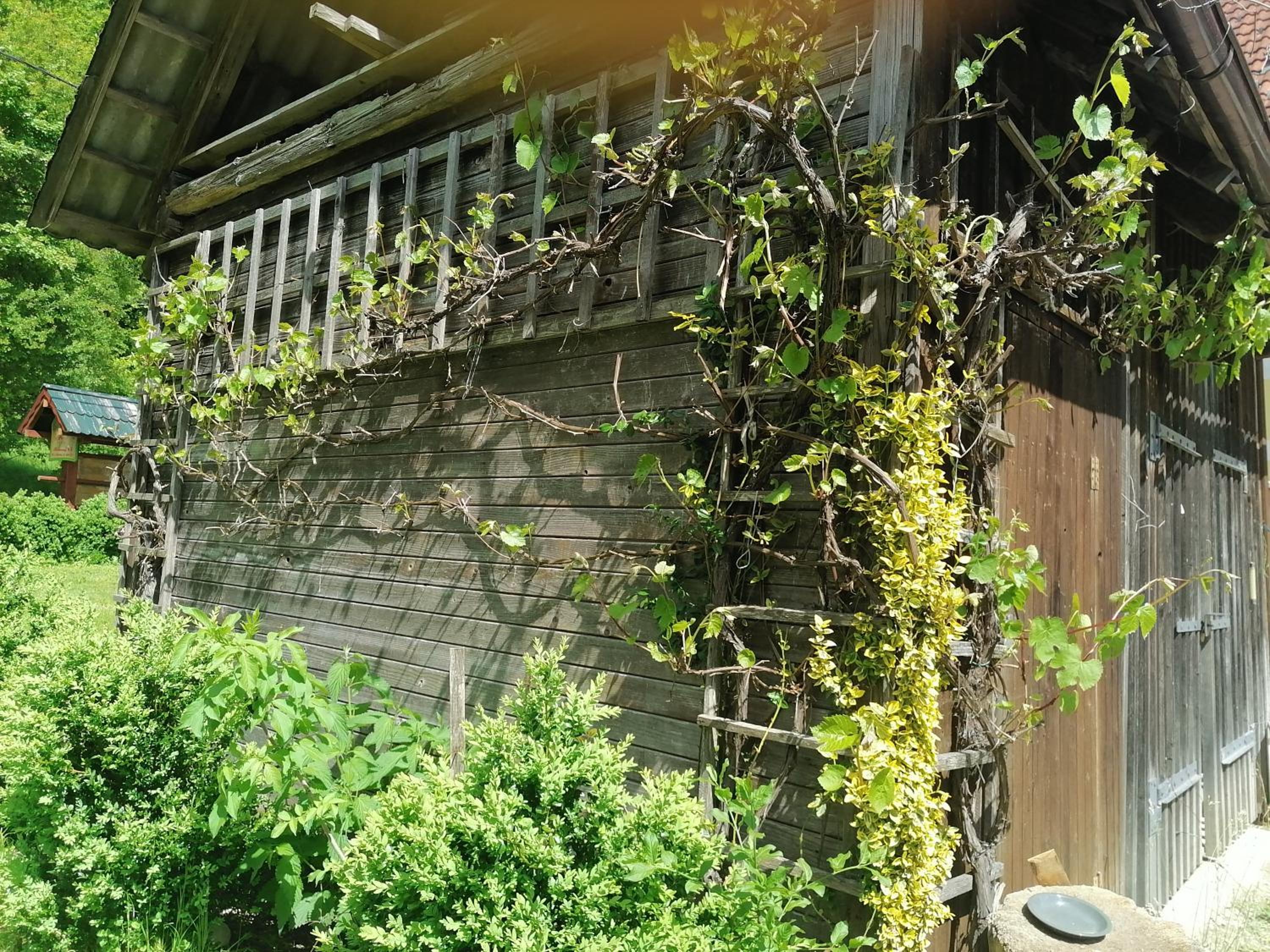 Photo 21