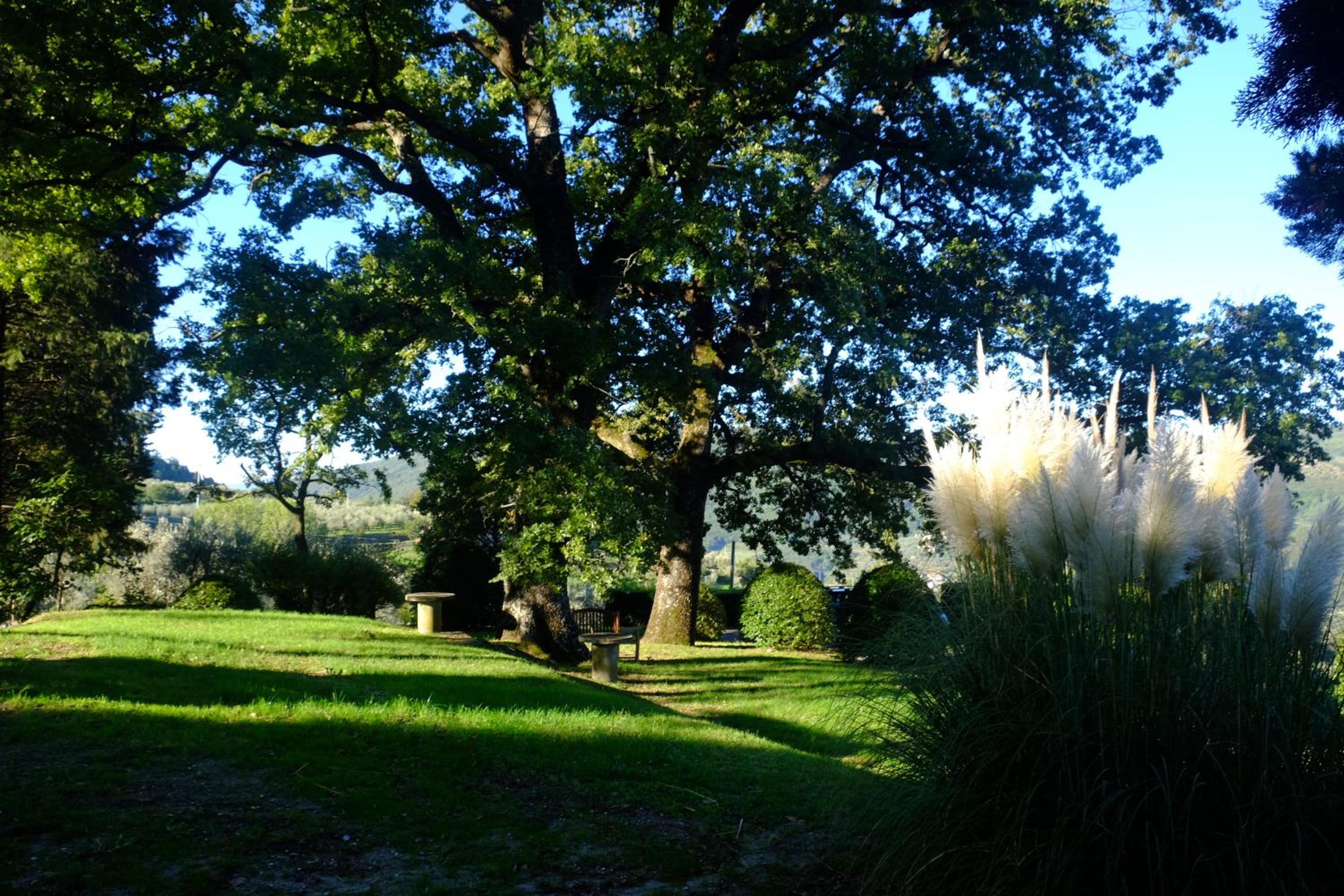 Agriturismo Il Ponticello view 2