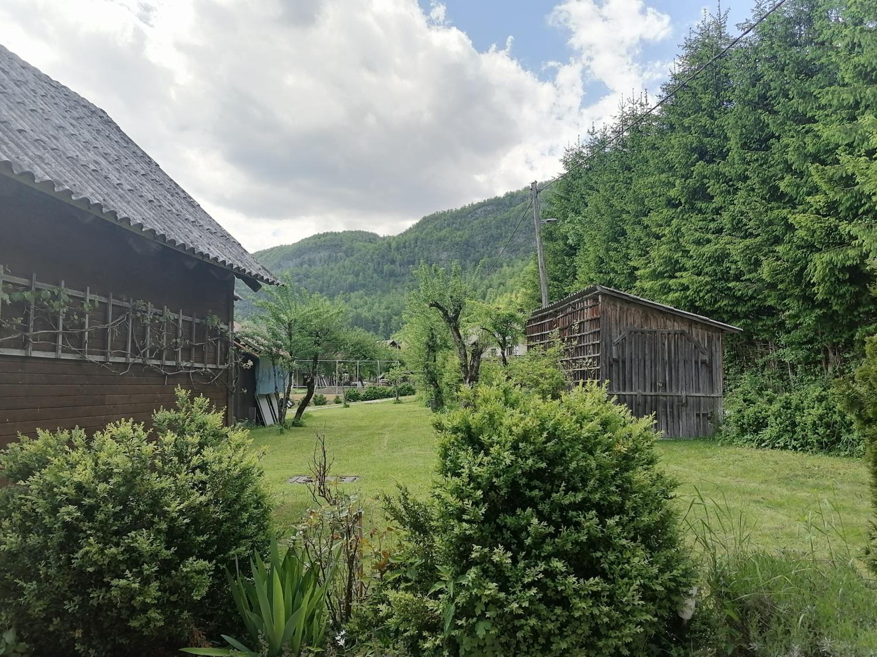 Photo 49