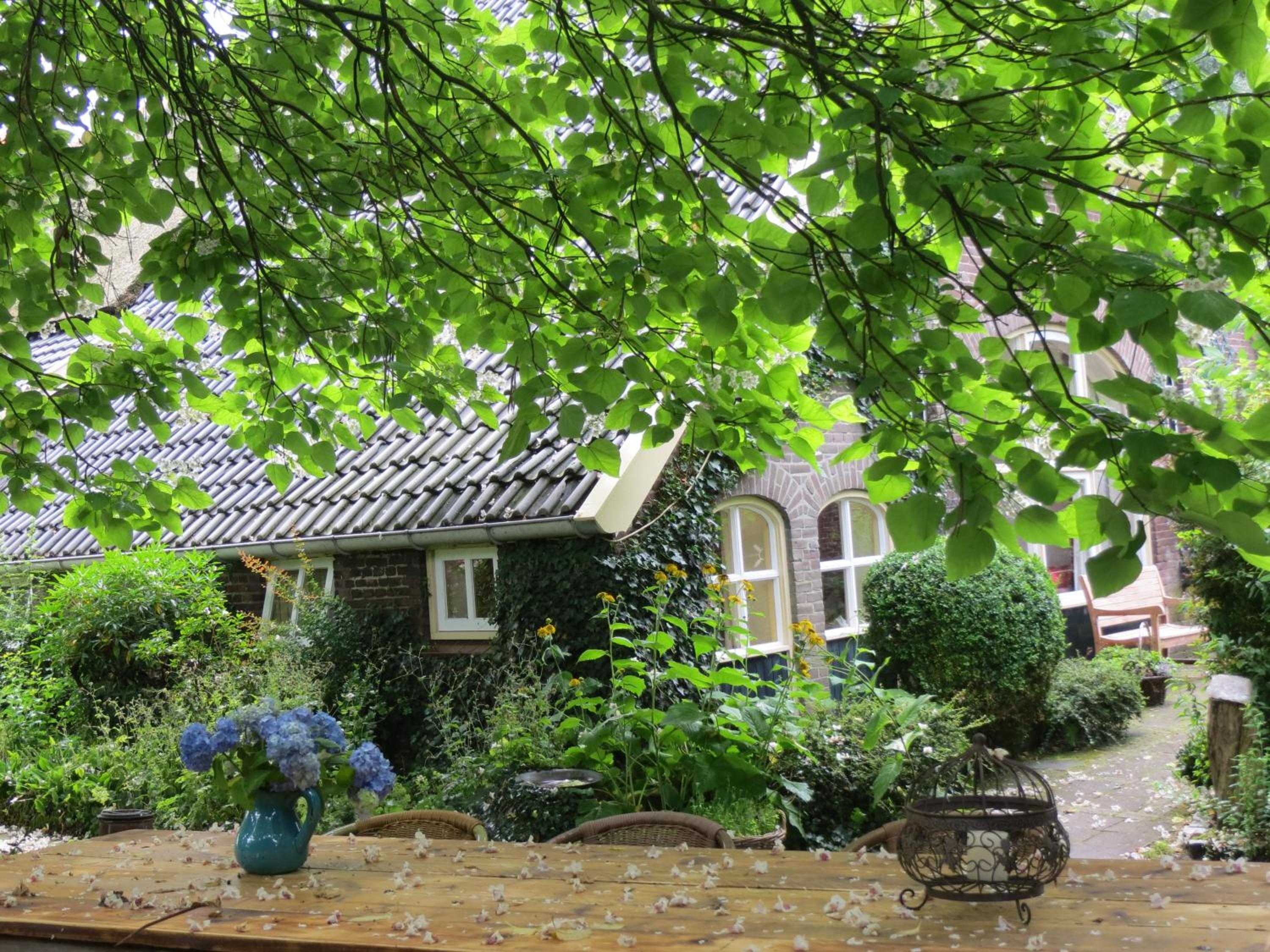 Photo 14