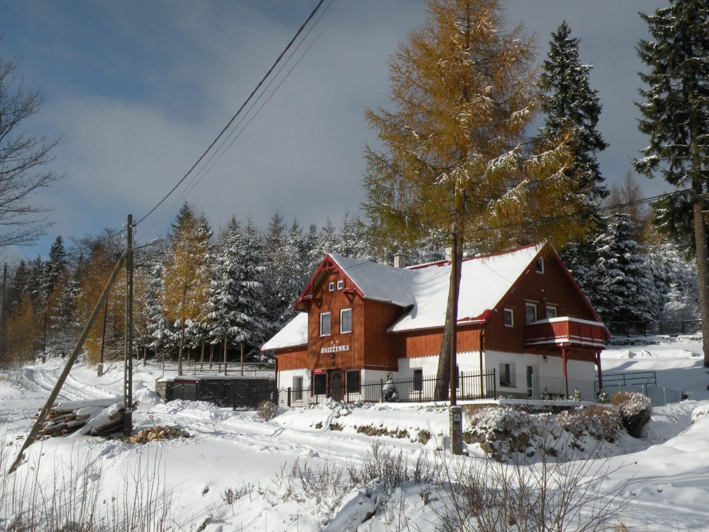 Photo 52