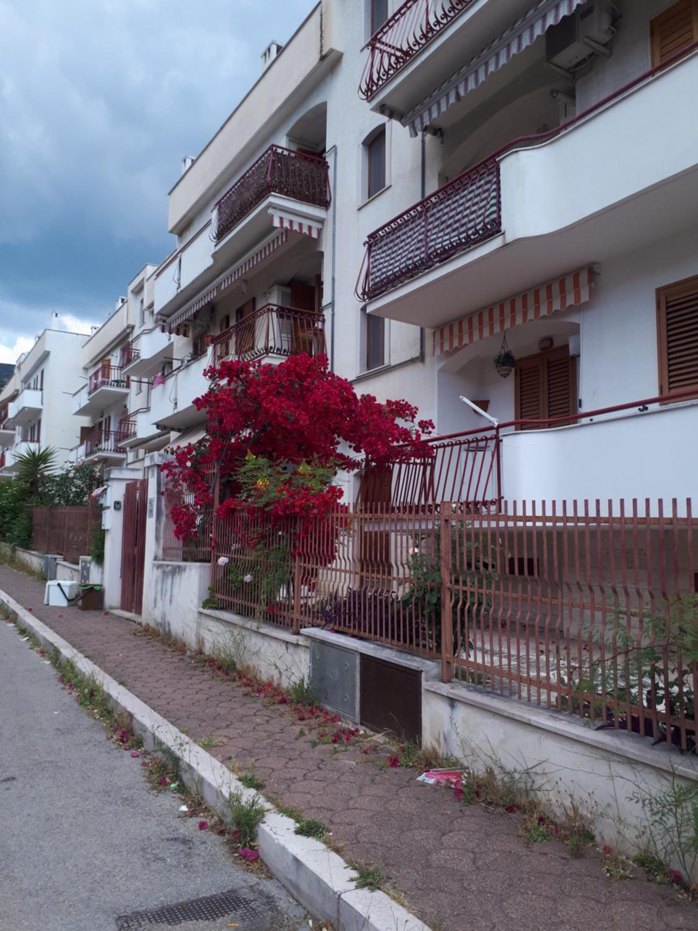 Hotel La Vie en Rose Mattinata - Image 1