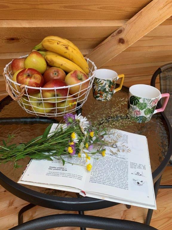 Hillside Bio Glamping, photo 71