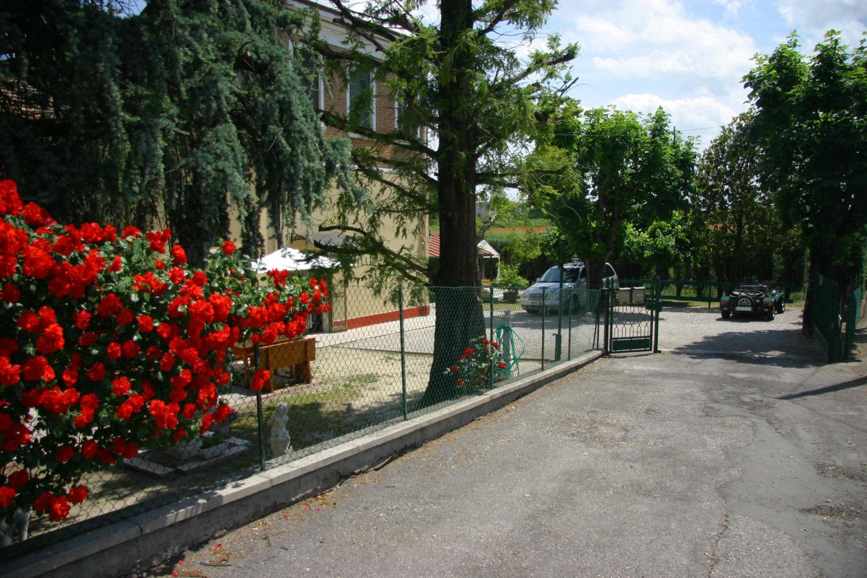 Photo 22