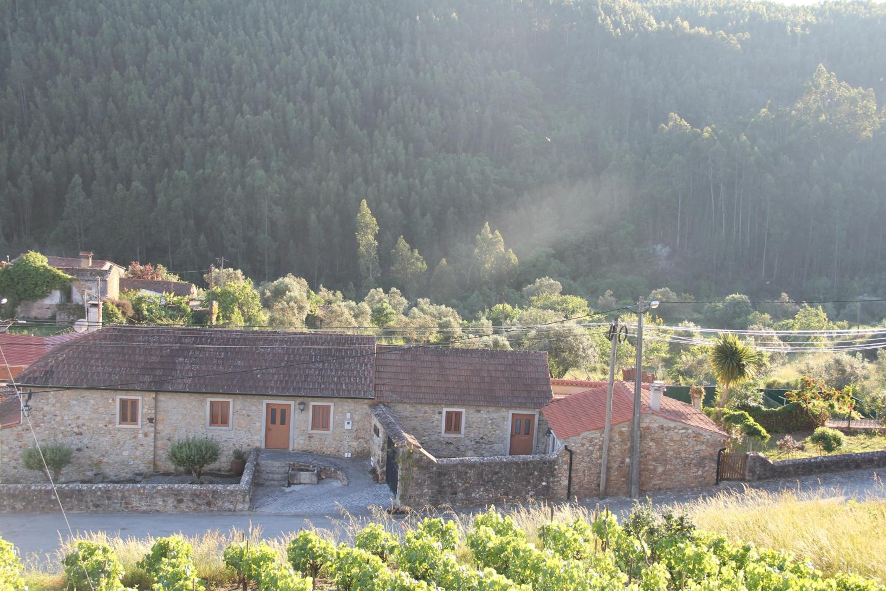 ACOLINA view 5