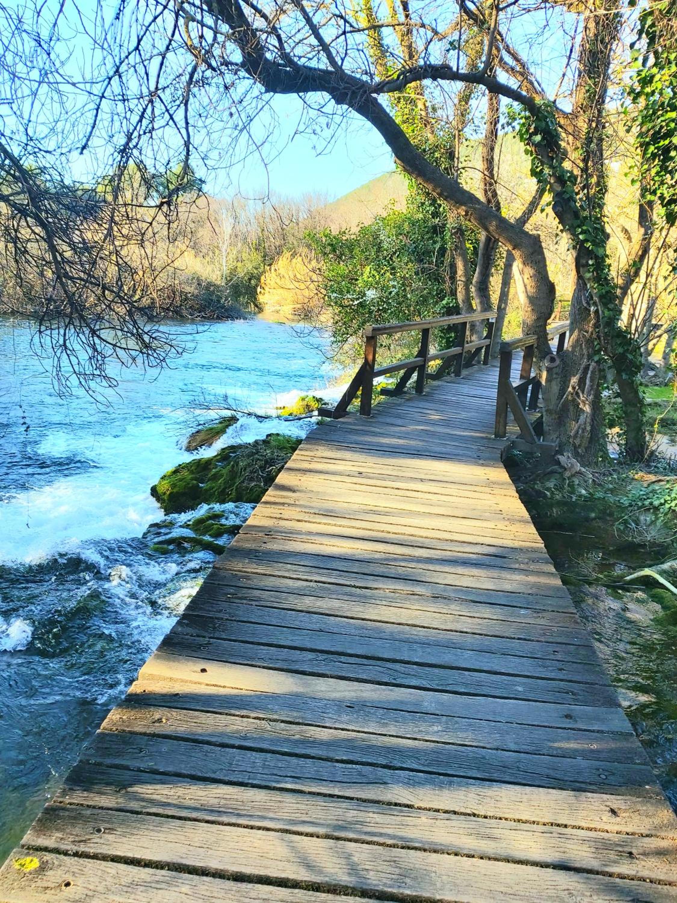 Photo 42