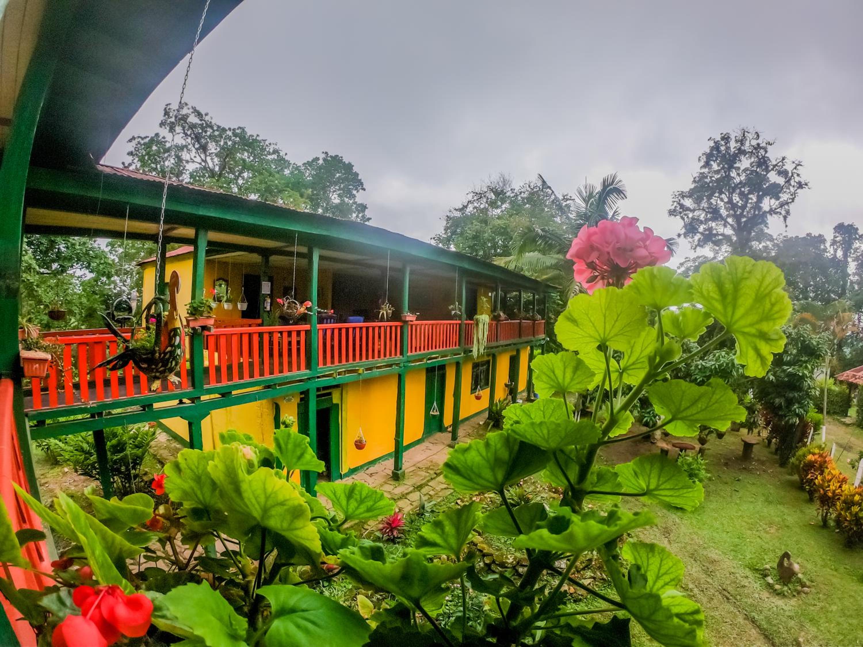 Hacienda Ceylán - Hacienda Cafetera