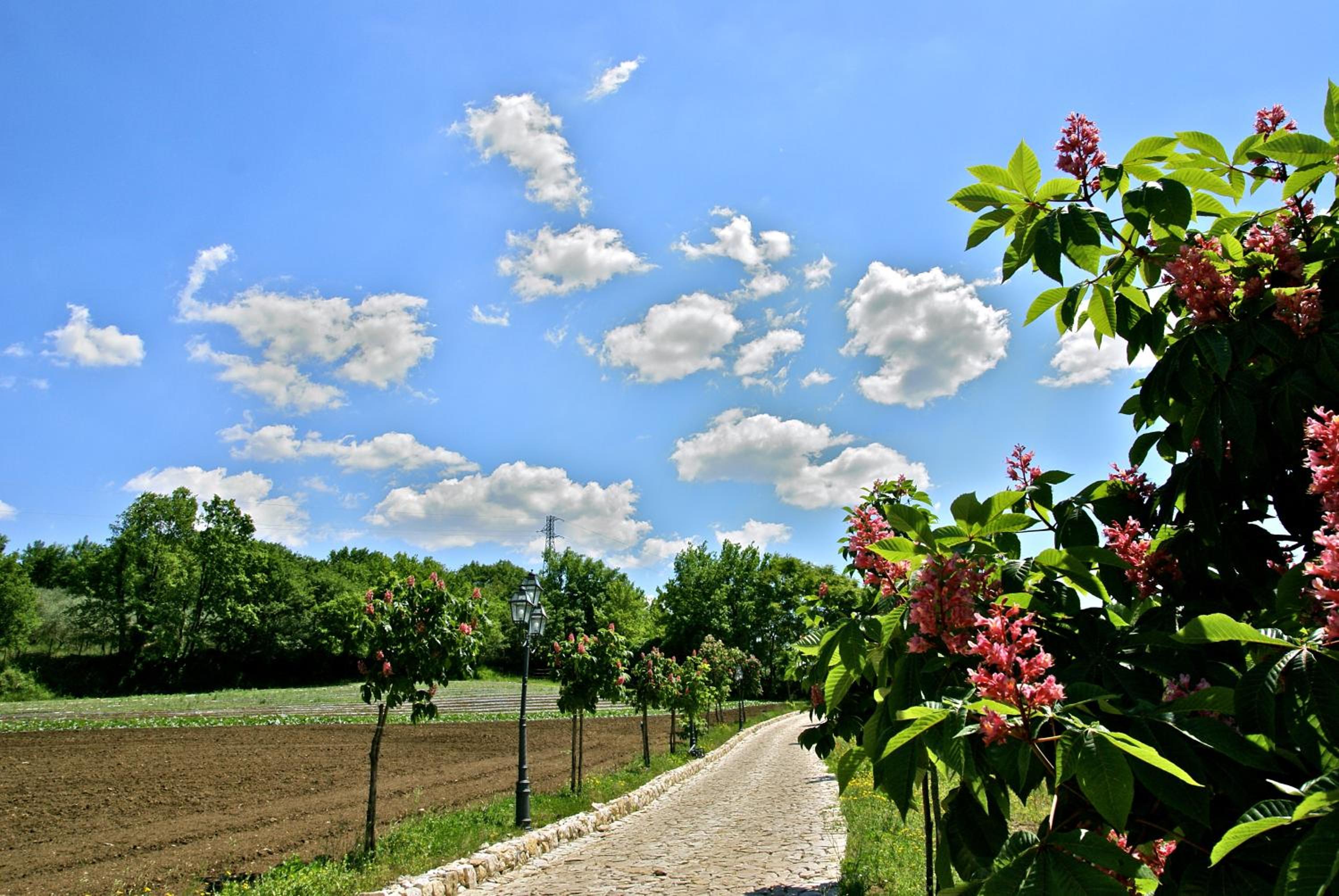 La Pampa Relais & Spa