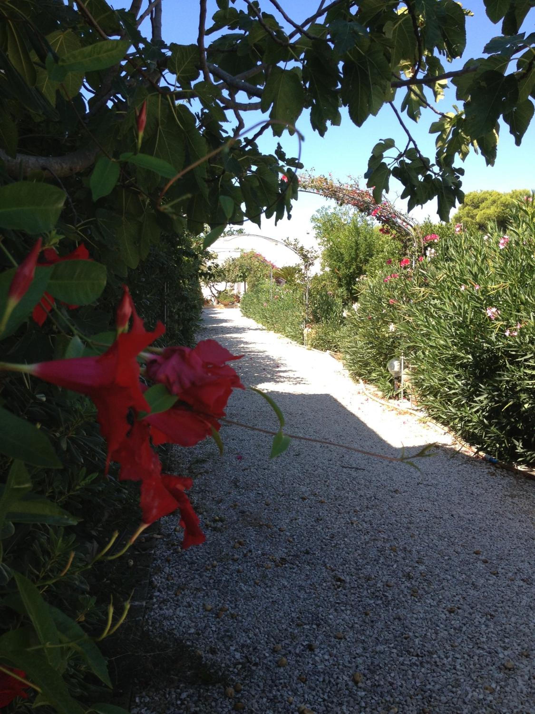 Photo 37