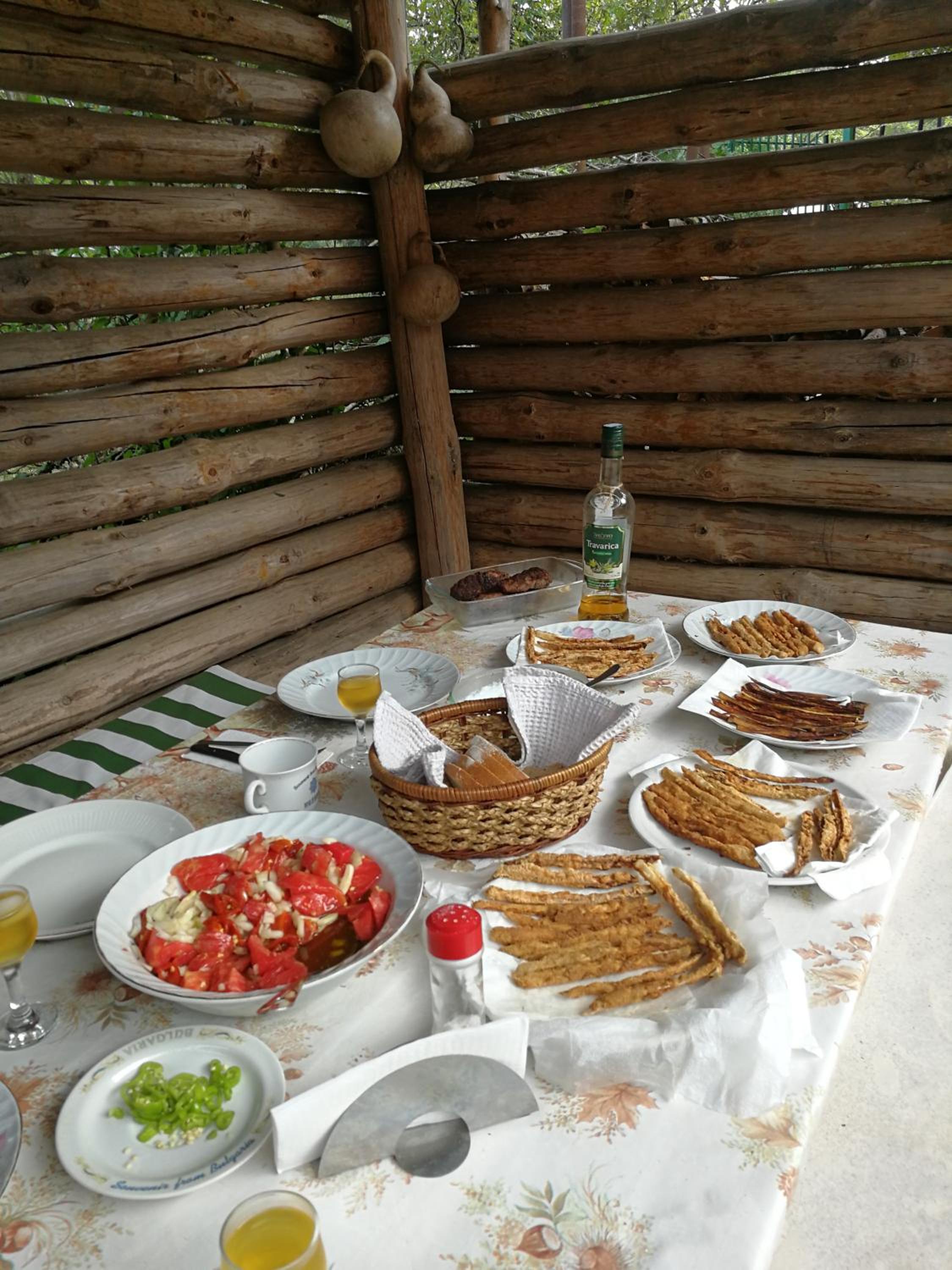 Горска къща в Елена Петроф хоф