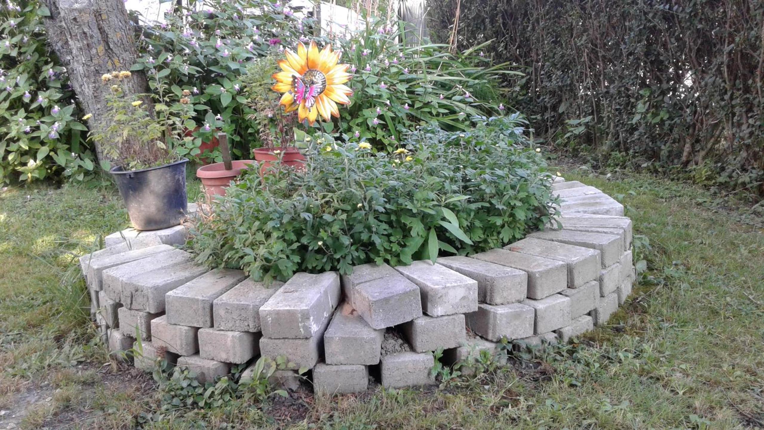 Photo 51