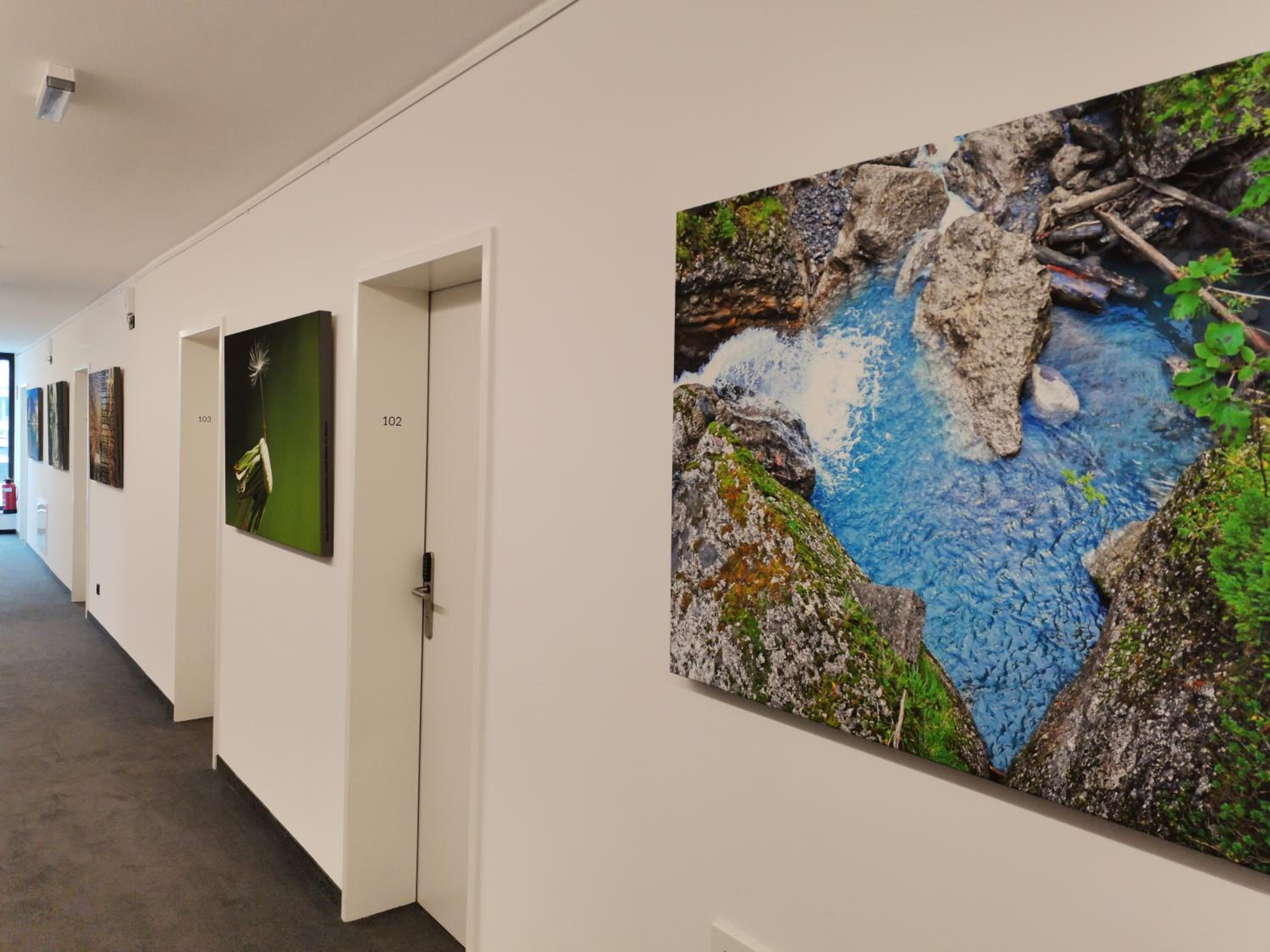 Saminapark Aparthotel, photo 23