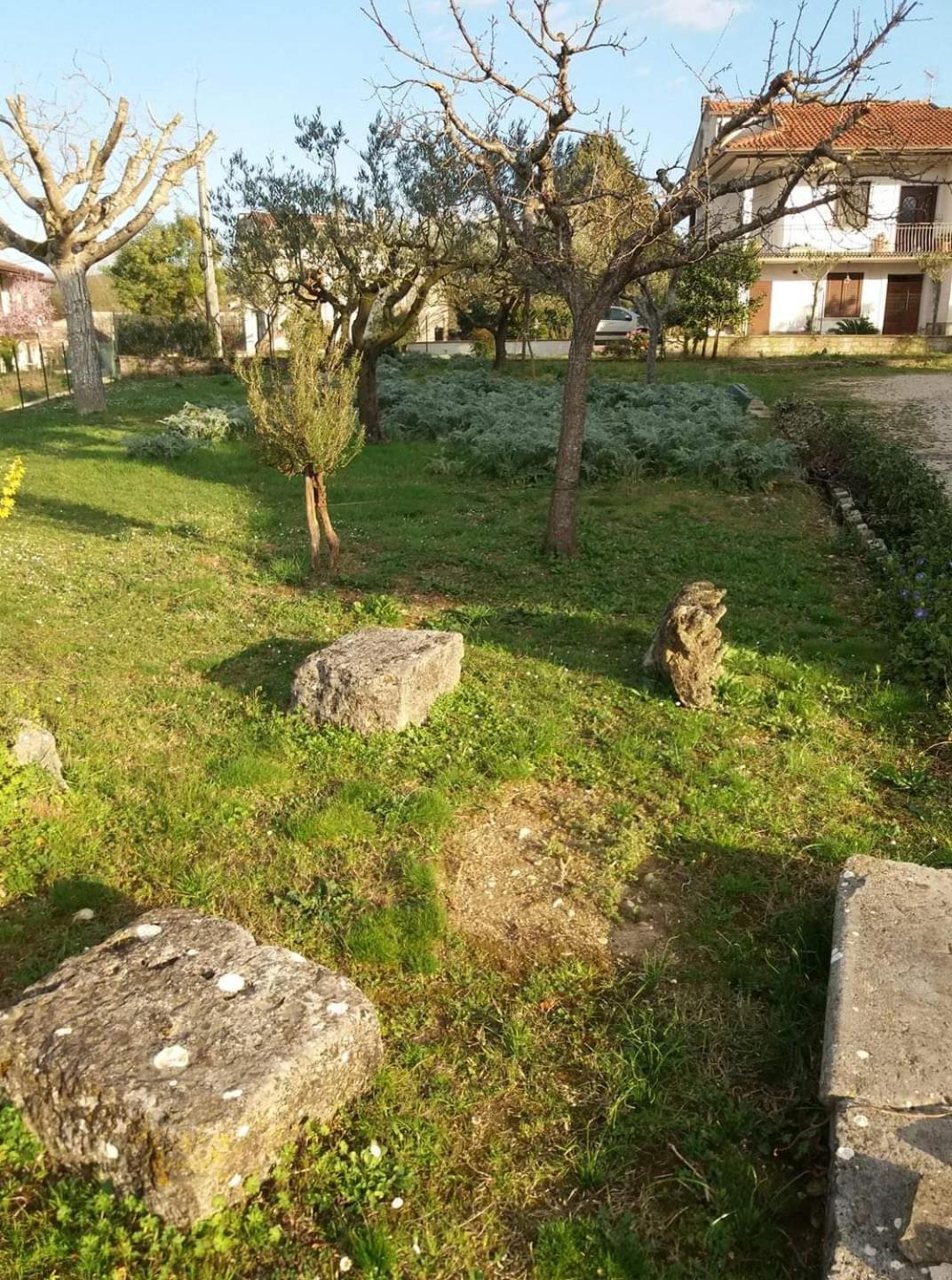 Photo 22