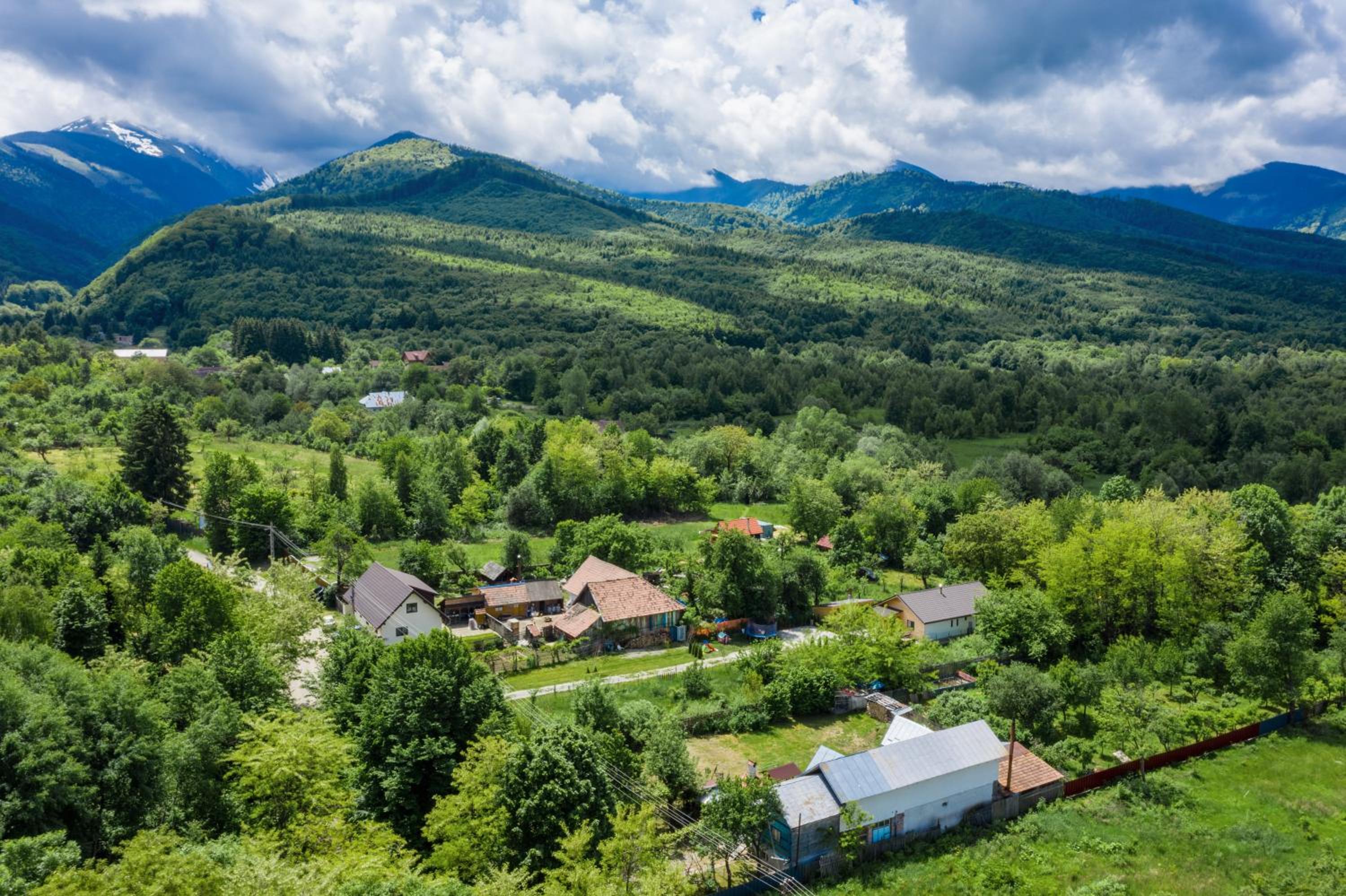River Residence Chalet view 2