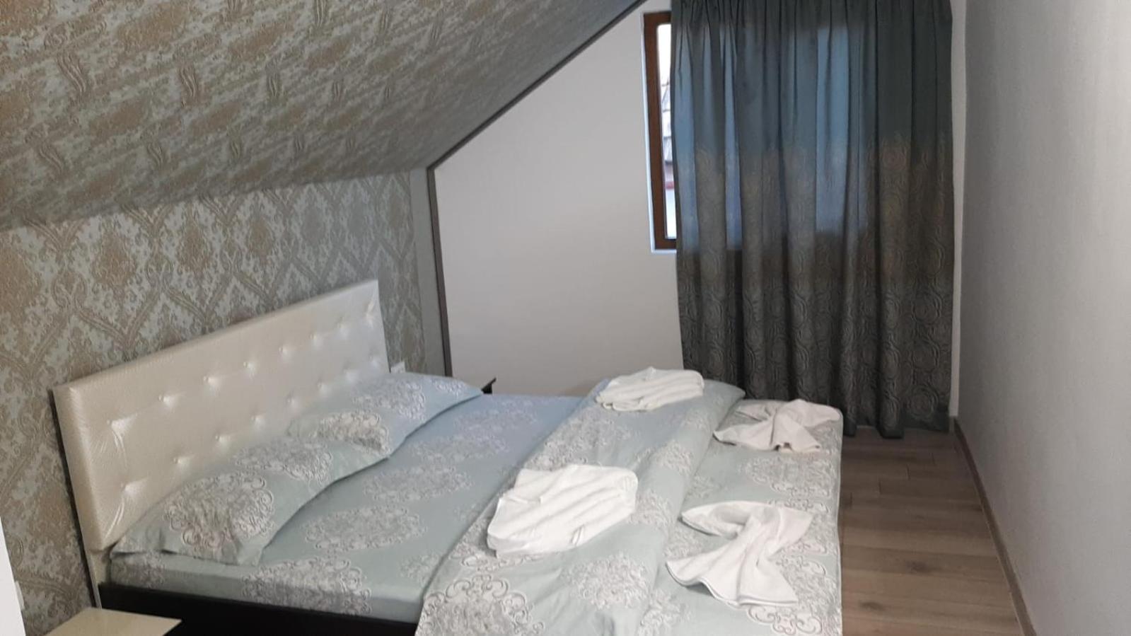 Casa Sviniceană view 2