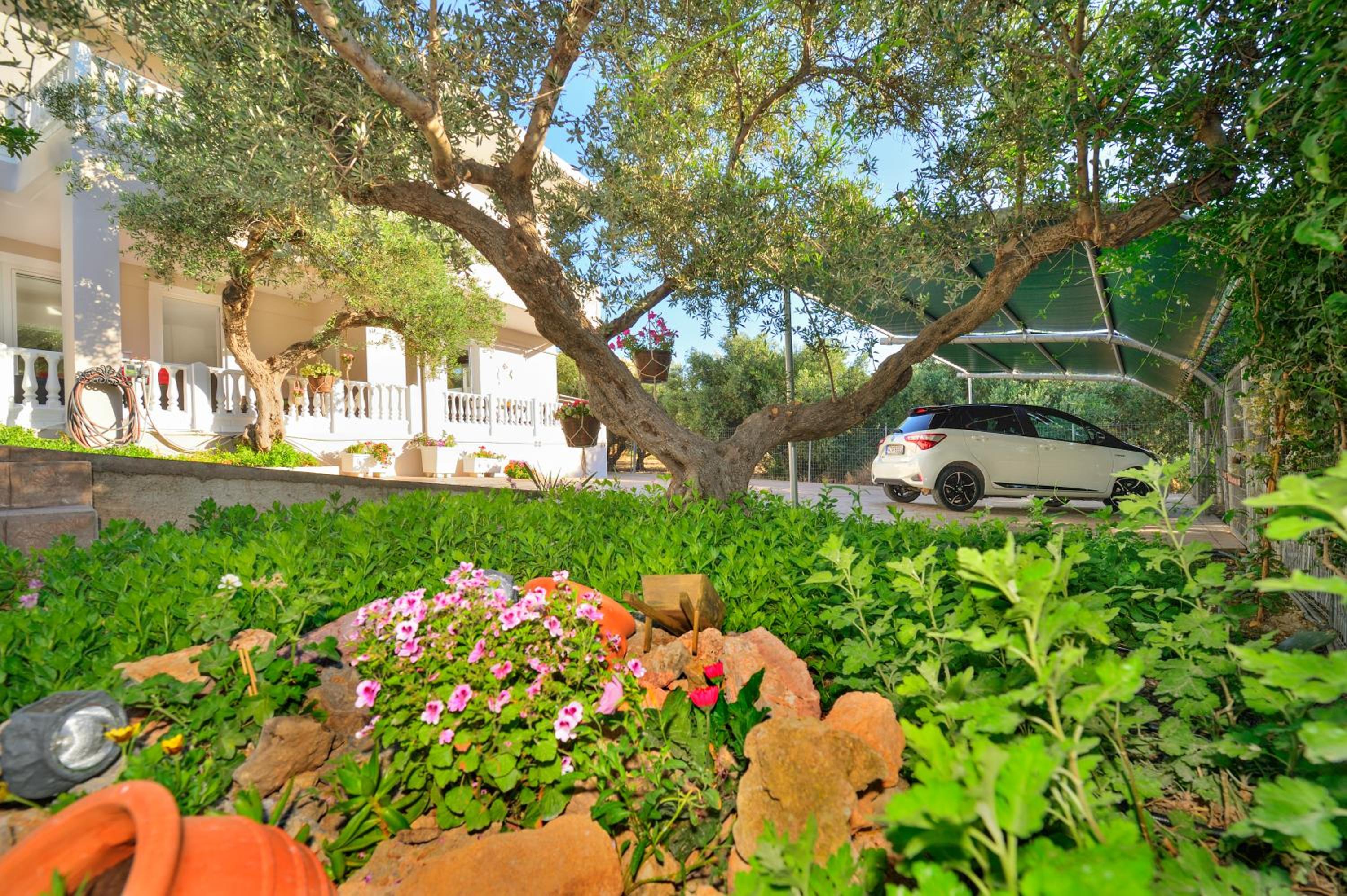 *Haritos traditional Apt-5min from Falassarna Bch* photo 5