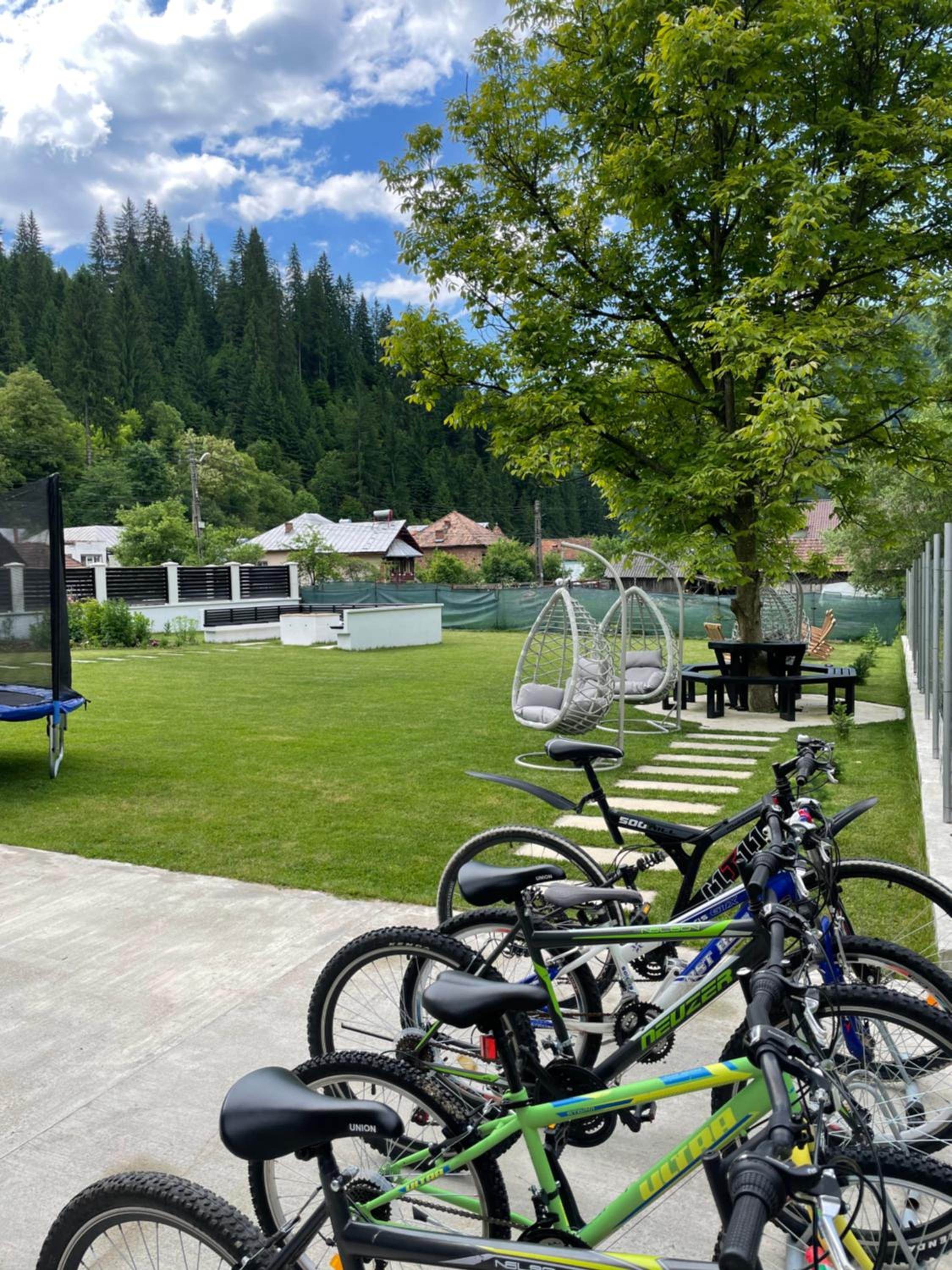 Pensiunea Edelweiss view 5