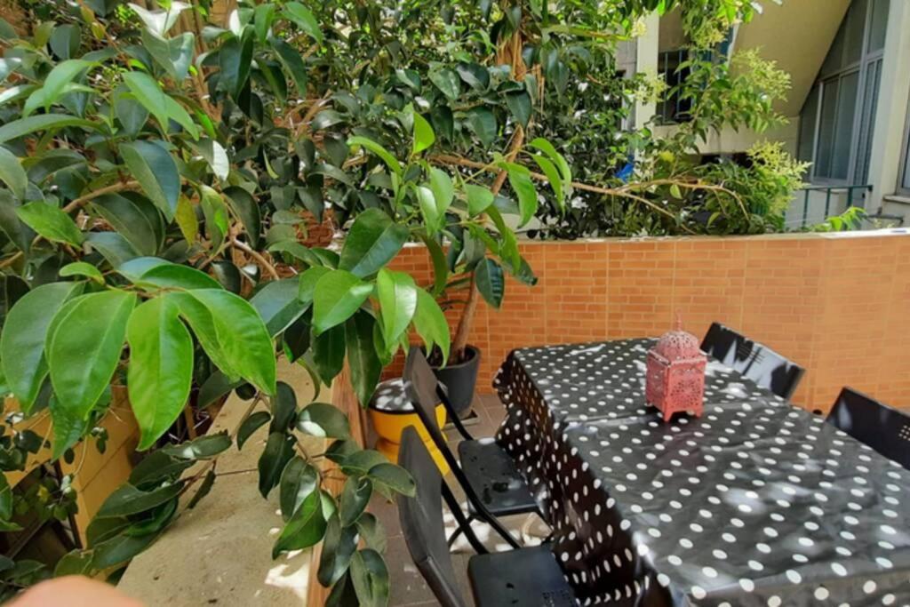 Charming Sunny Terrace / One bedroom Apartment view 2