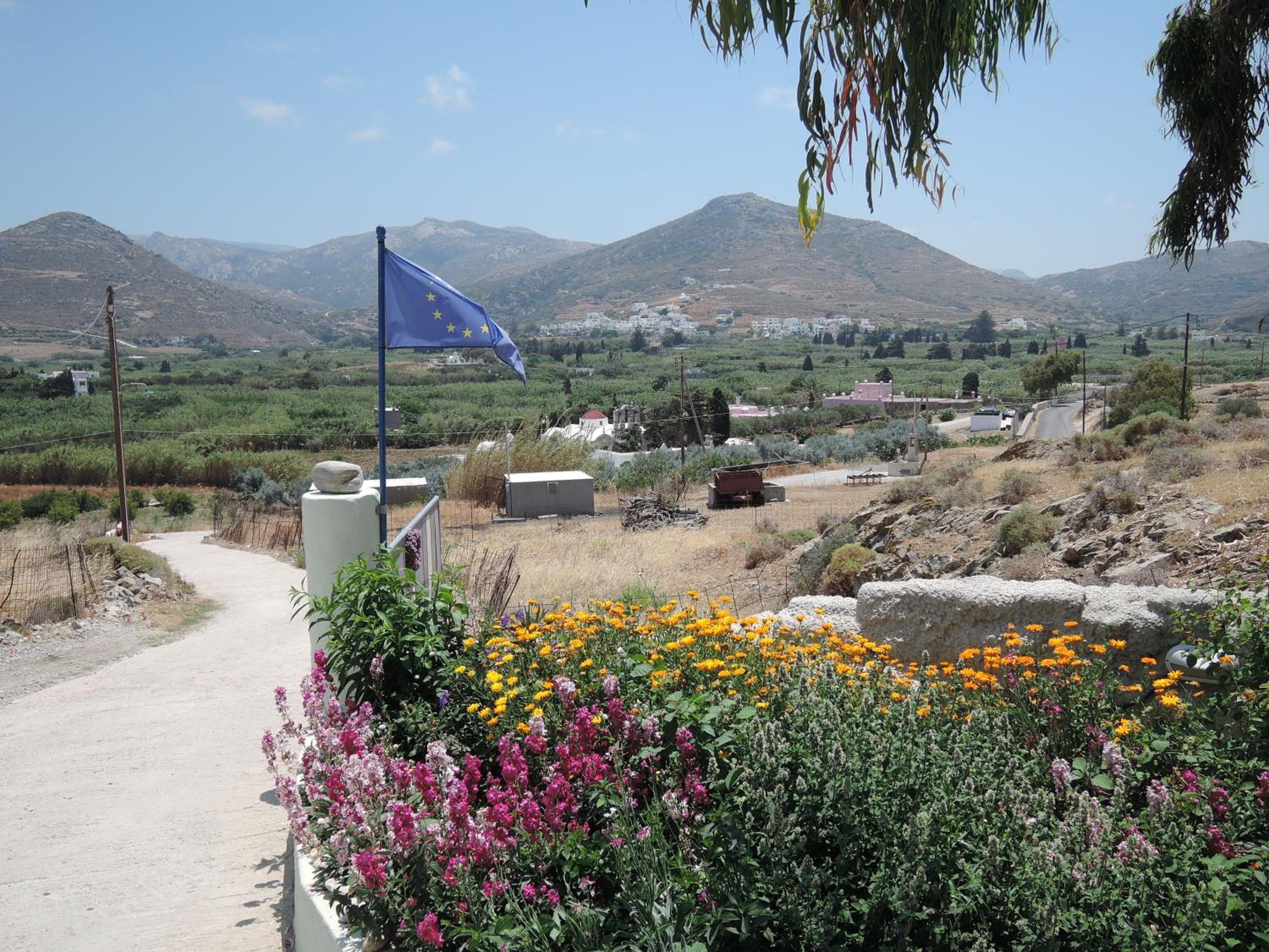 Photo 43
