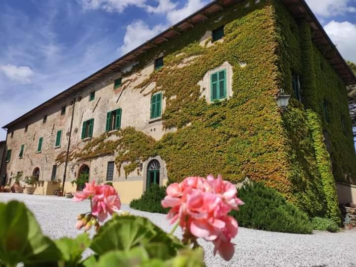 Tenuta Mocajo