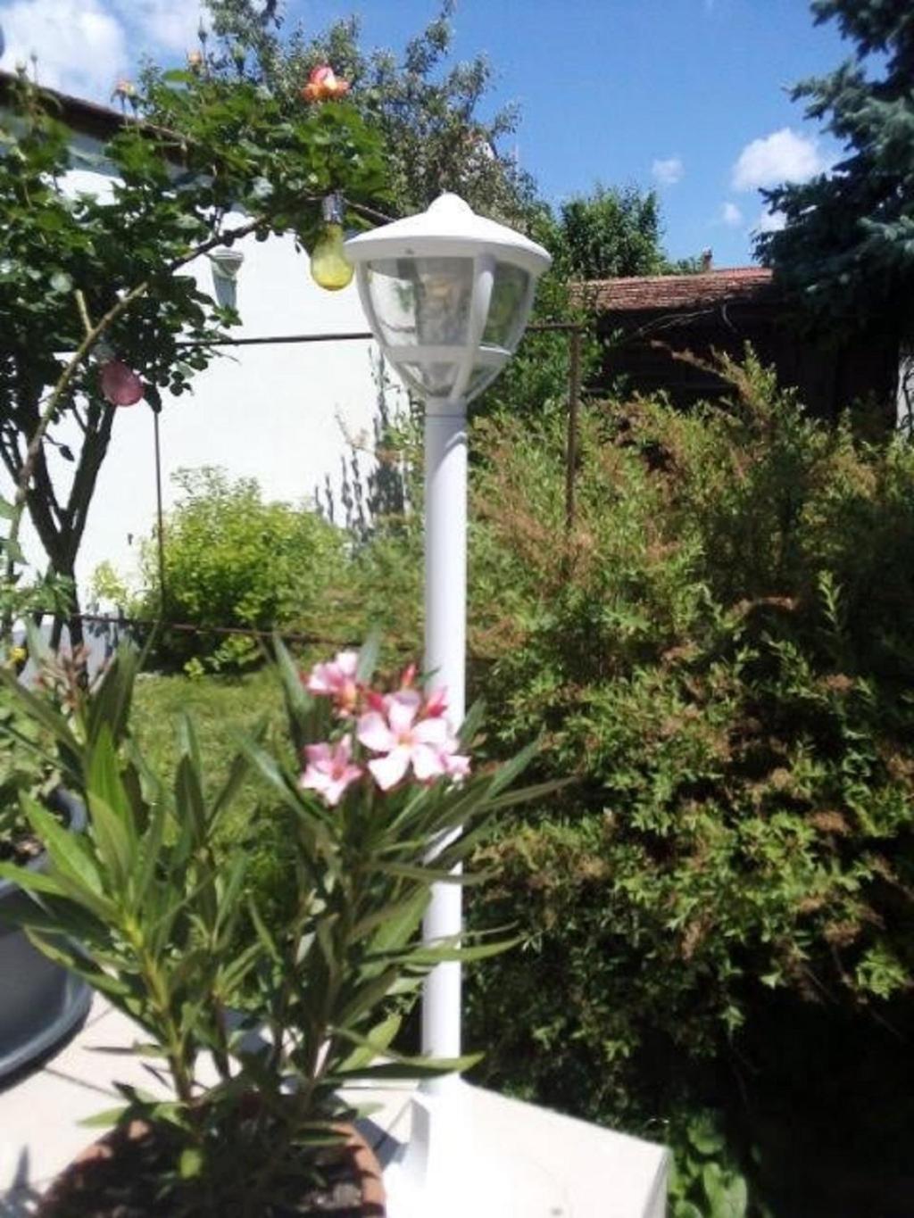Photo 47
