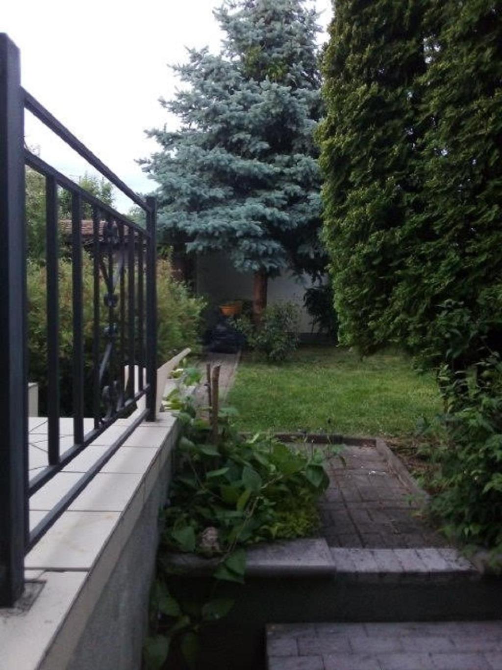 Photo 48