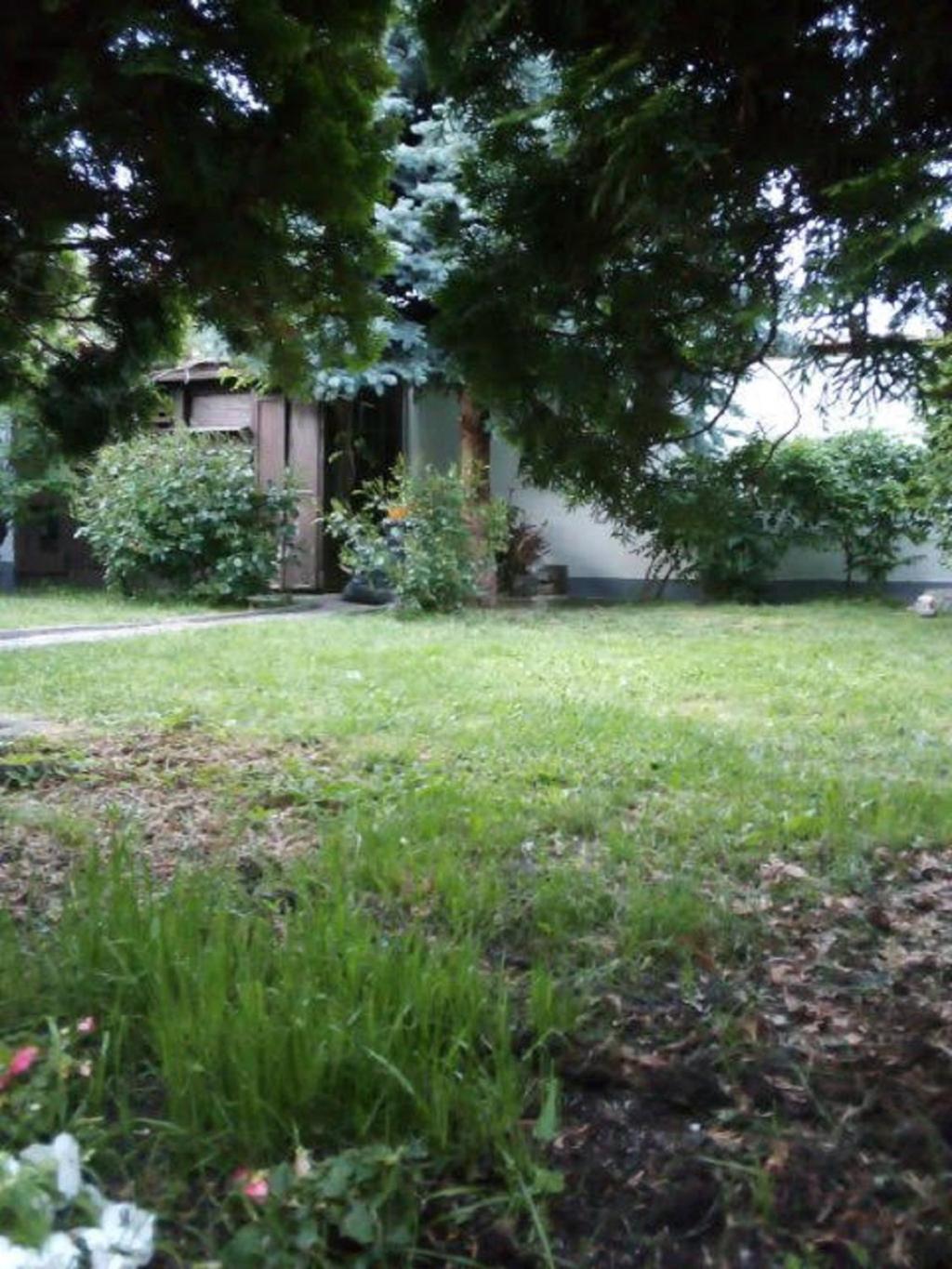 Photo 49