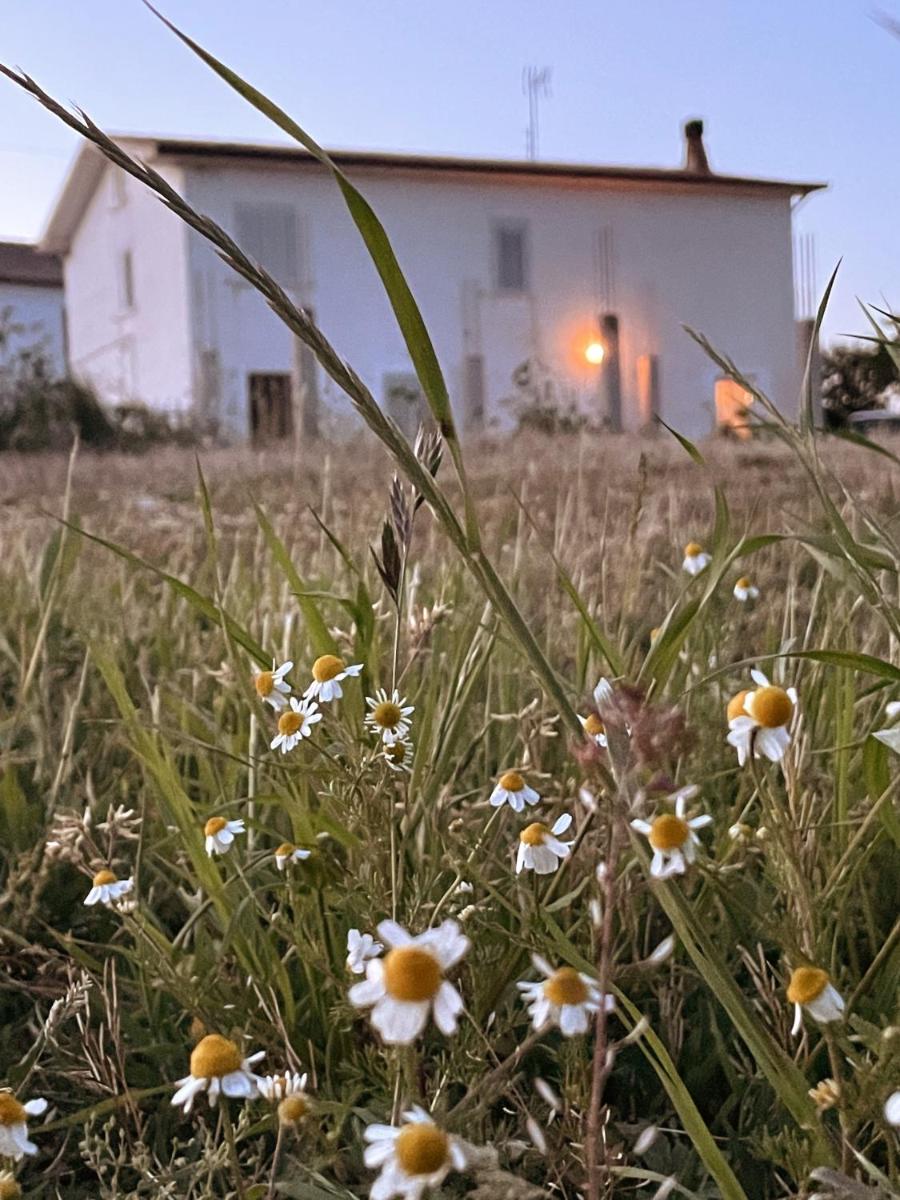 La Casa Degli Artisti view 2