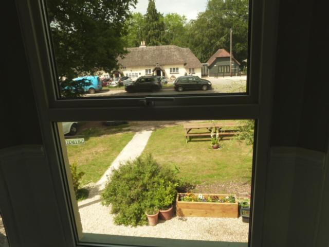 Photo 51
