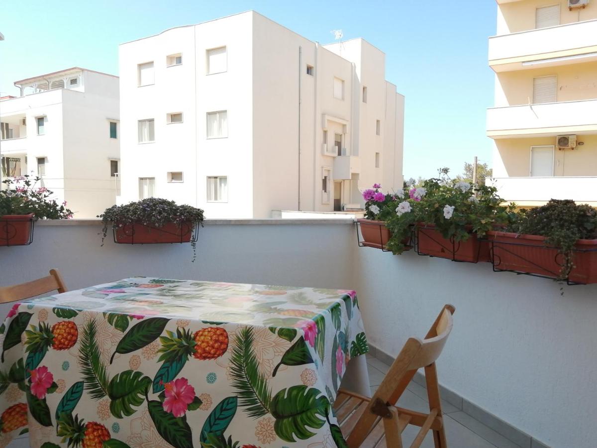 House Lido view 4