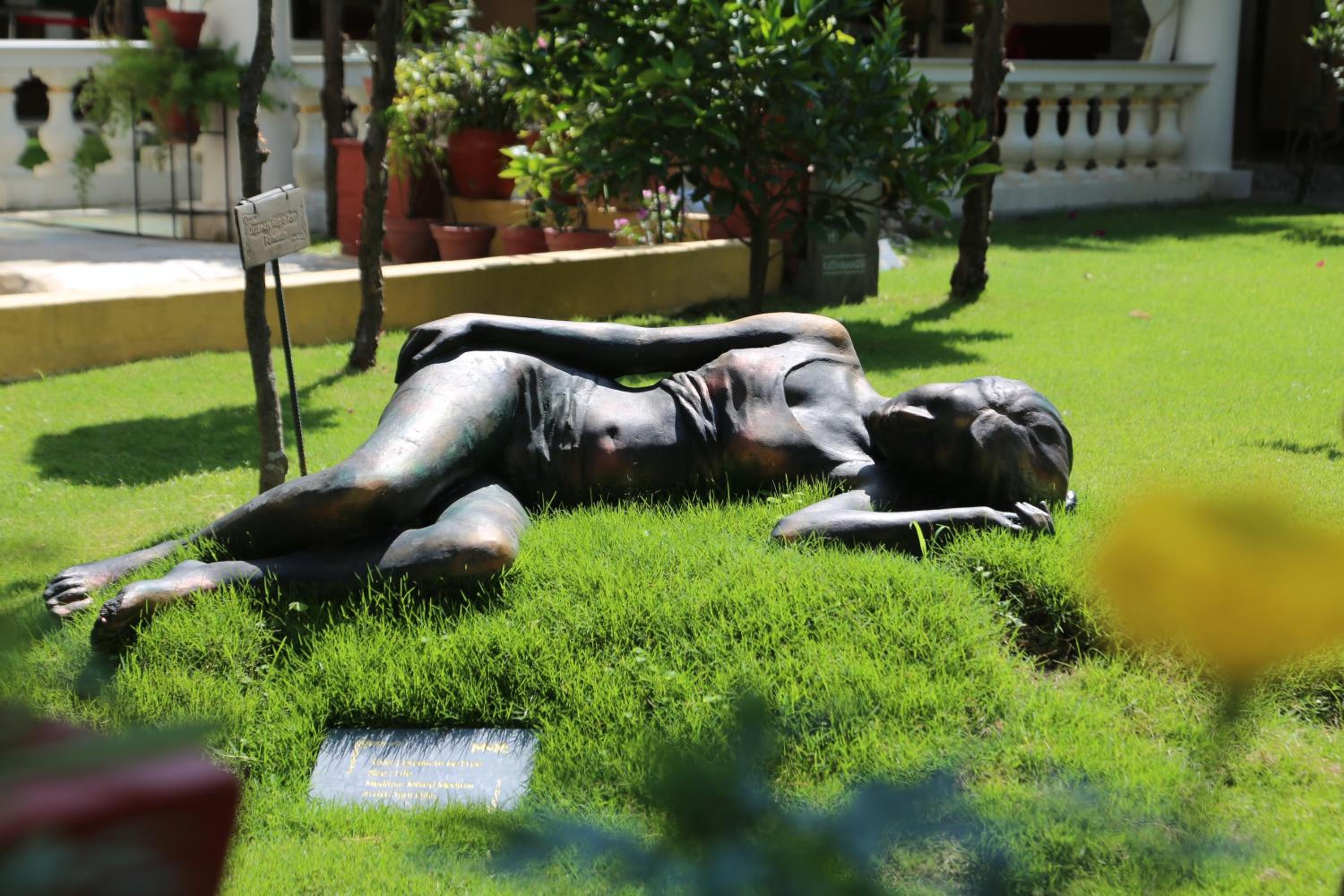 Photo 44