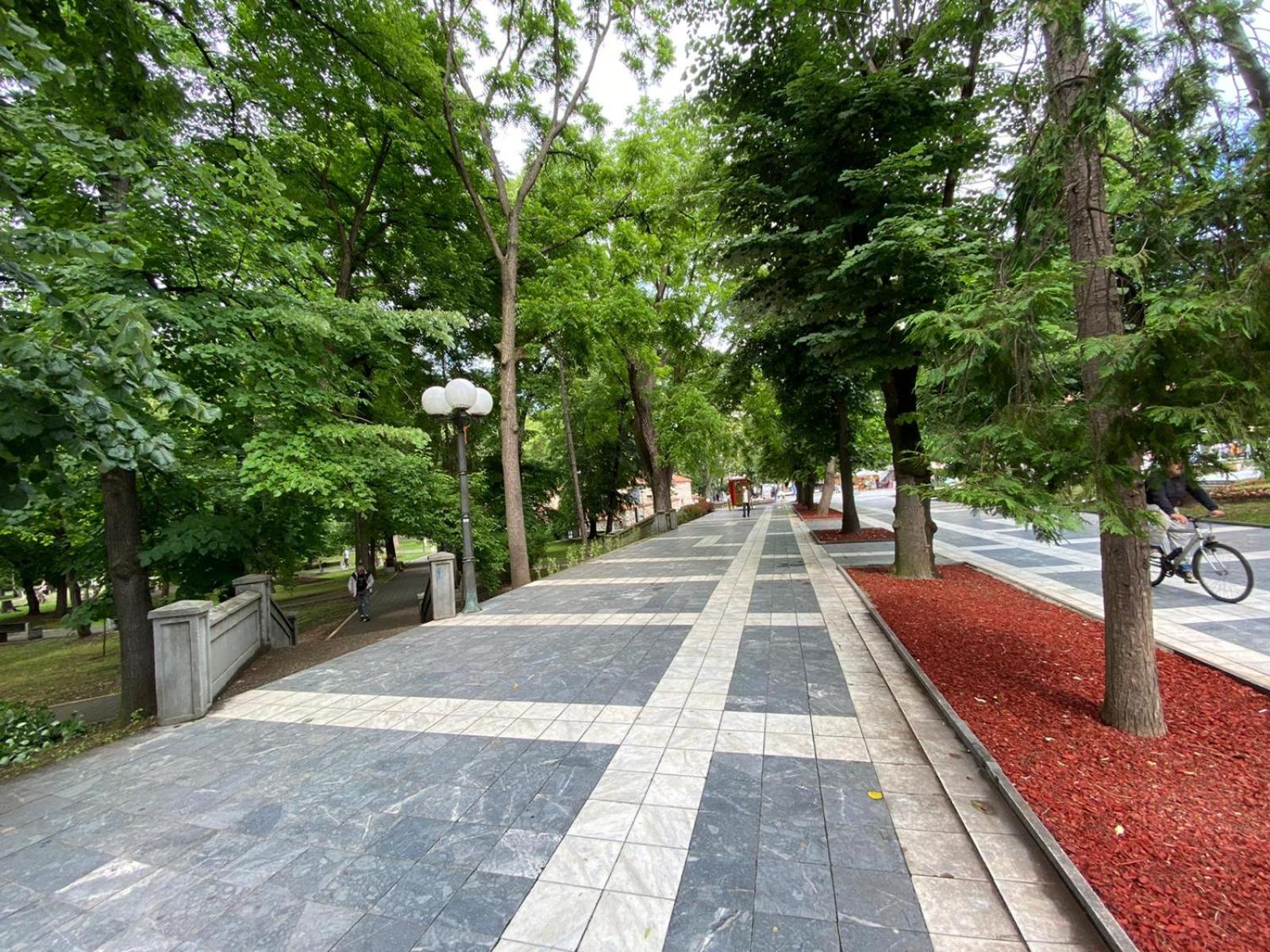 Photo 22