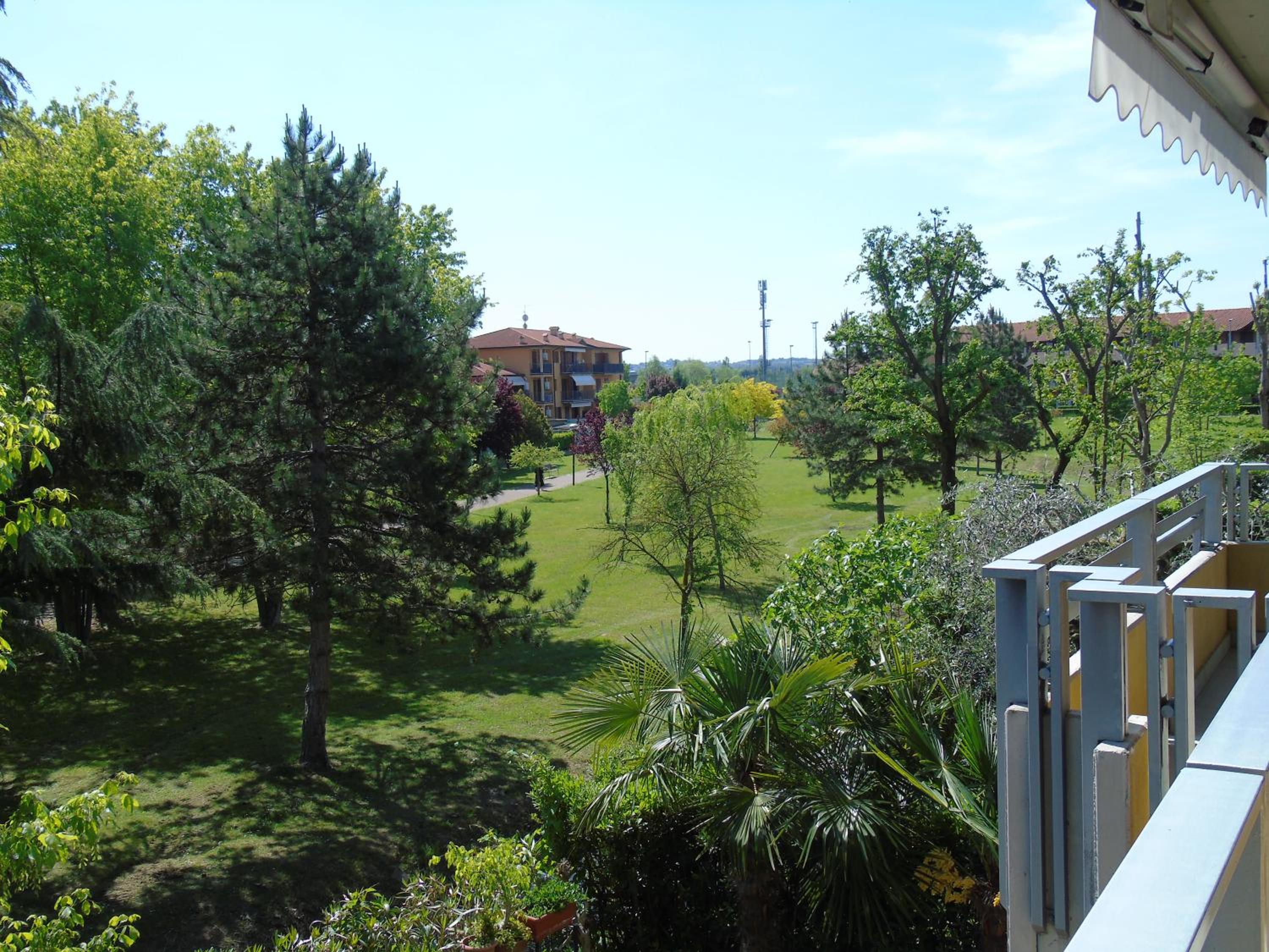 Photo 31