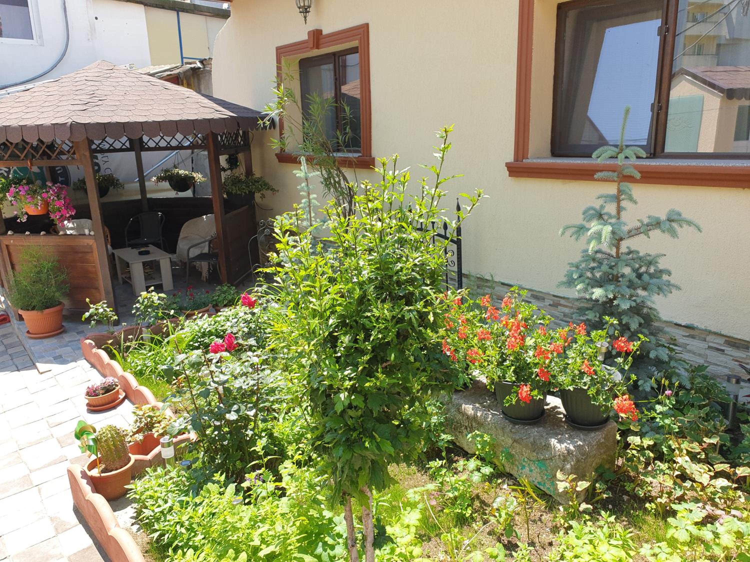 Kogalniceanu House view 5