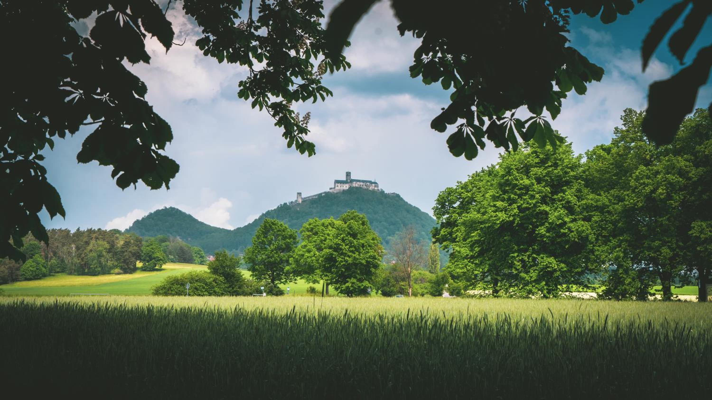Vilka Petra pod Bezdězem