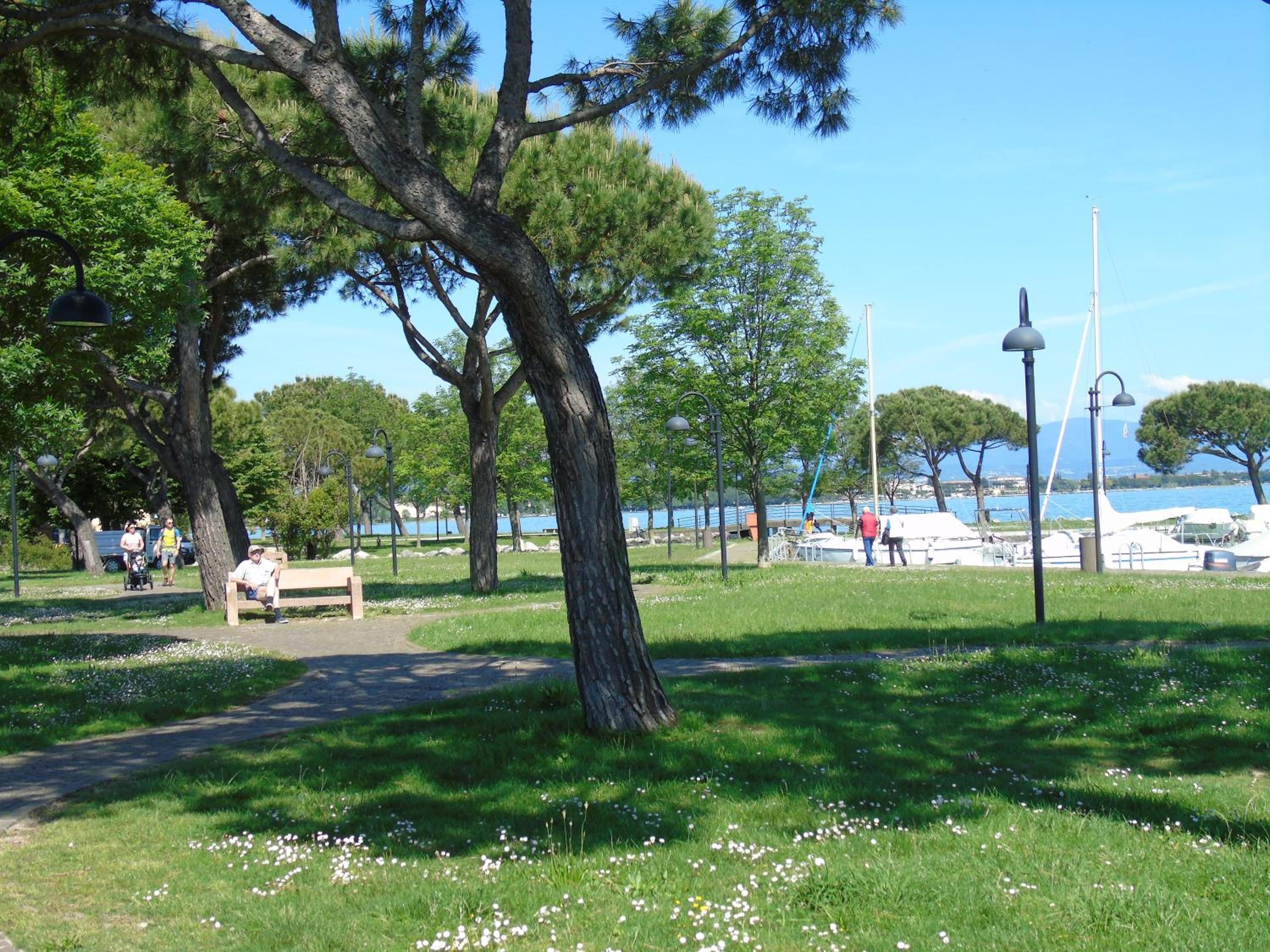 Photo 44