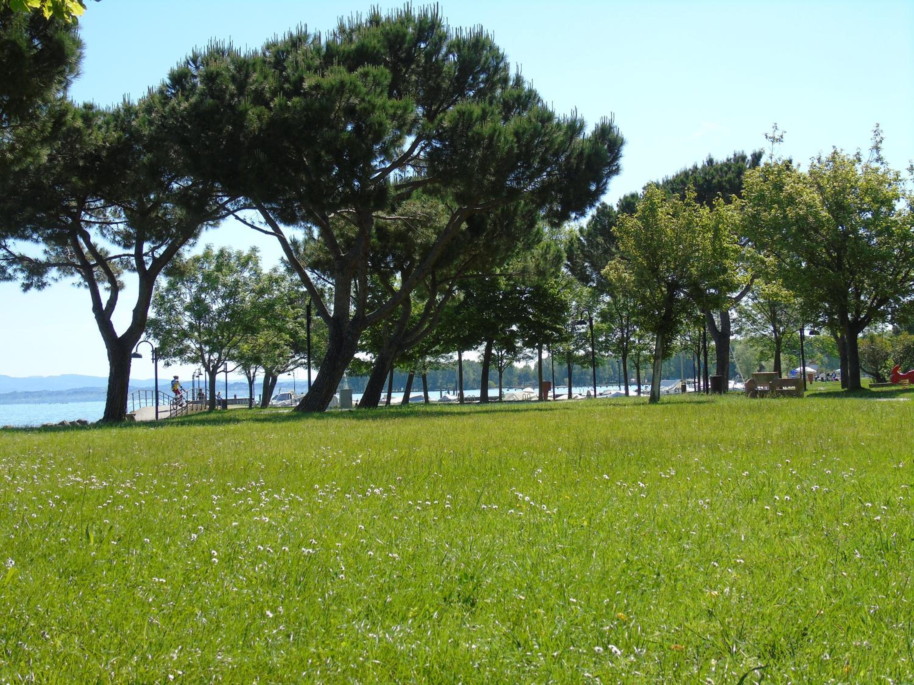 Photo 49