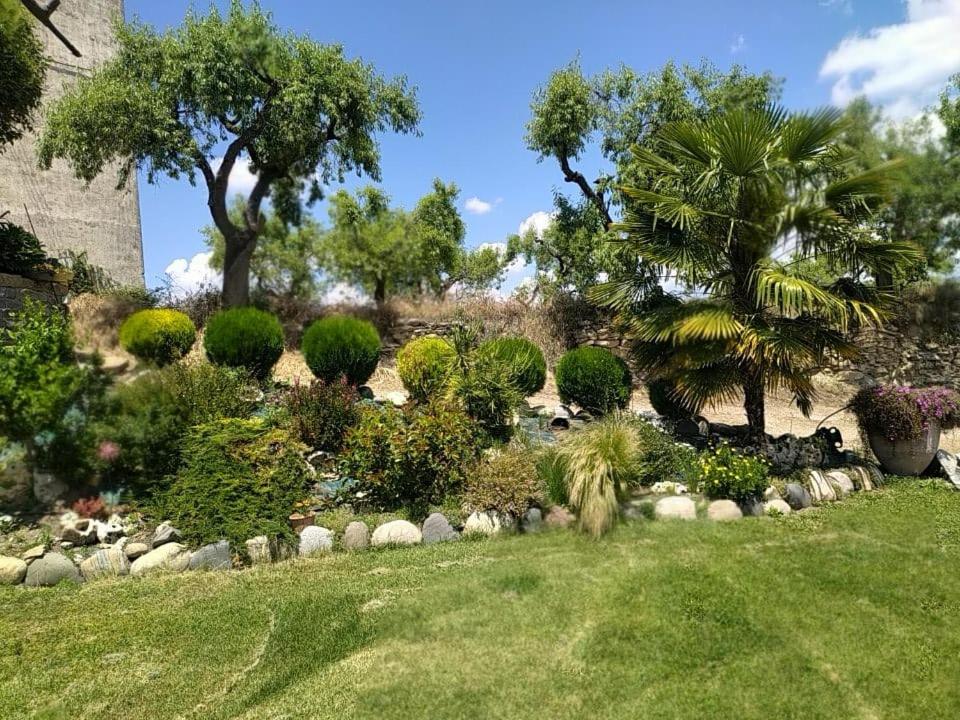 Casa Dominica view 3