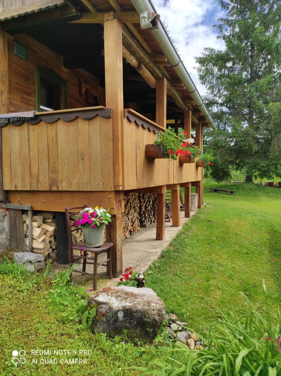 Dorina hiža view 2
