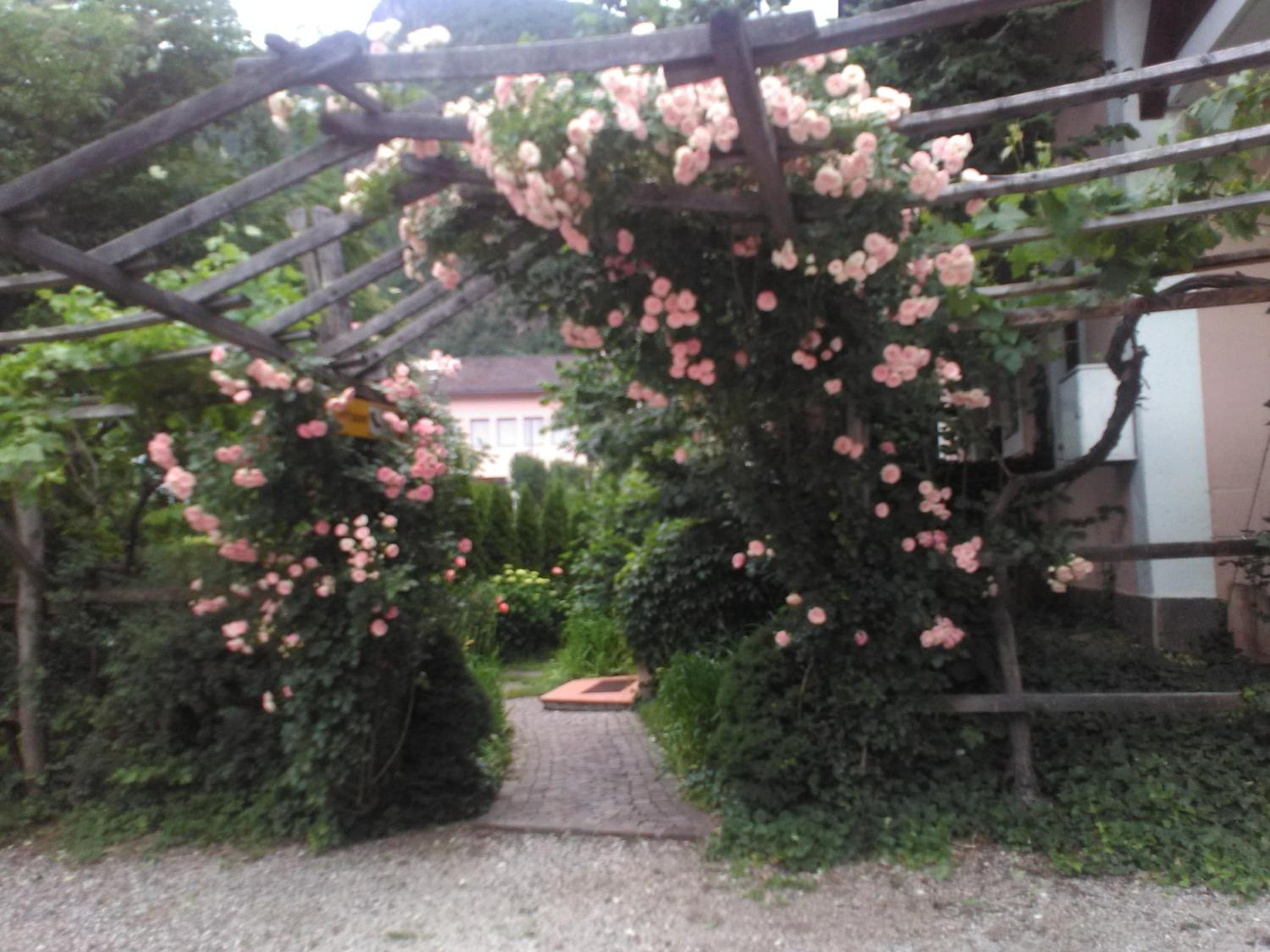 Photo 24